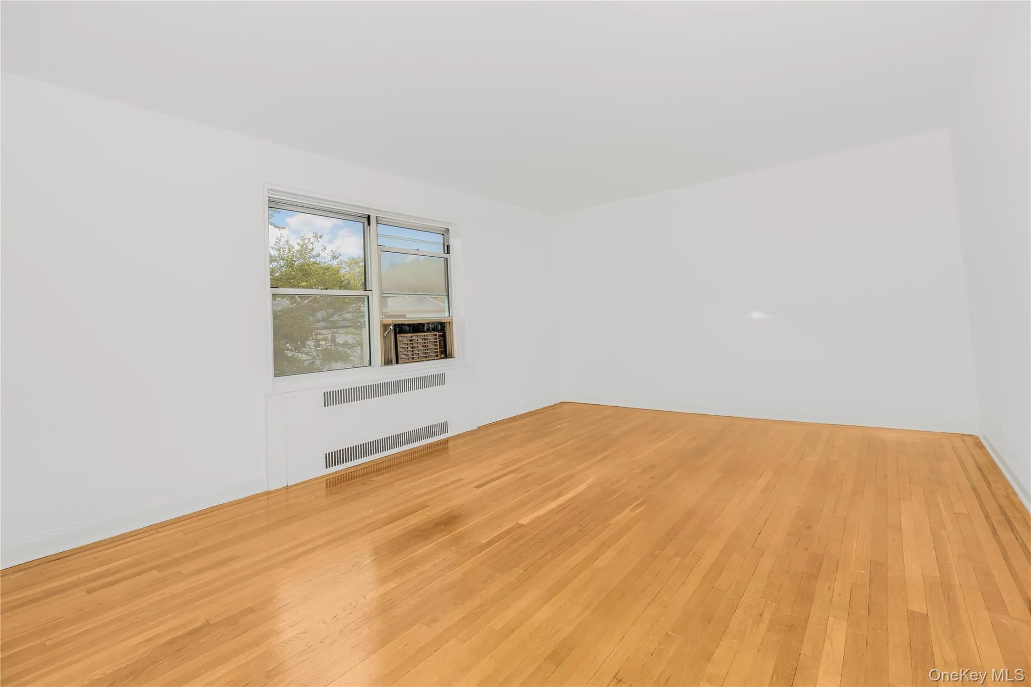 Unfurnished room with light wood-style flooring and radiator heating unit Unfurnished room with light wood-style flooring and radiator heating unit