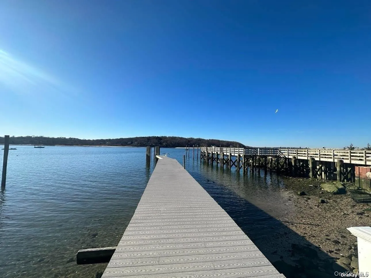 147 Woodbine Avenue, Huntington, NY, 1 Bedroom Bedrooms, 3 Rooms Rooms,1 BathroomBathrooms,Residential Lease,For Rent,Woodbine,0,983113 147 Woodbine Avenue, Huntington, NY, 1 Bedroom Bedrooms, 3 Rooms Rooms,1 BathroomBathrooms,Residential Lease,For Rent,Woodbine,0,983113