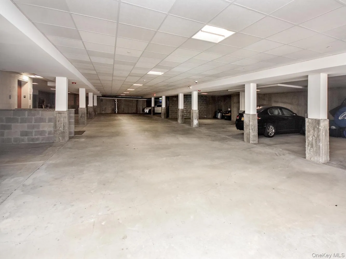 400 Carney Street, Glen Cove, NY, 2 Bedrooms Bedrooms, 3 Rooms Rooms,1 BathroomBathrooms,Residential Lease,For Rent,Carney,0,983203 400 Carney Street, Glen Cove, NY, 2 Bedrooms Bedrooms, 3 Rooms Rooms,1 BathroomBathrooms,Residential Lease,For Rent,Carney,0,983203