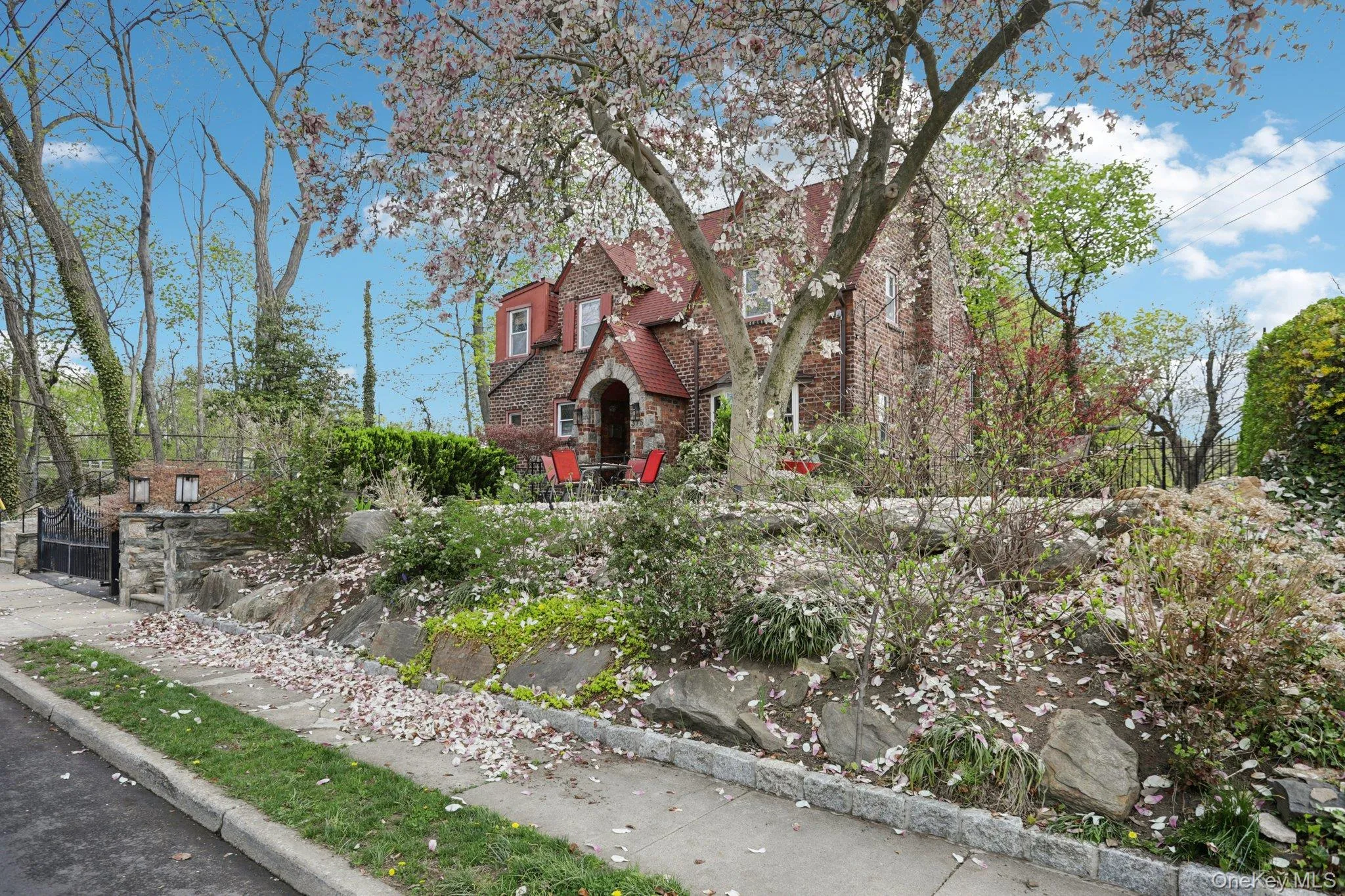 Tree-lined street Tree-lined street