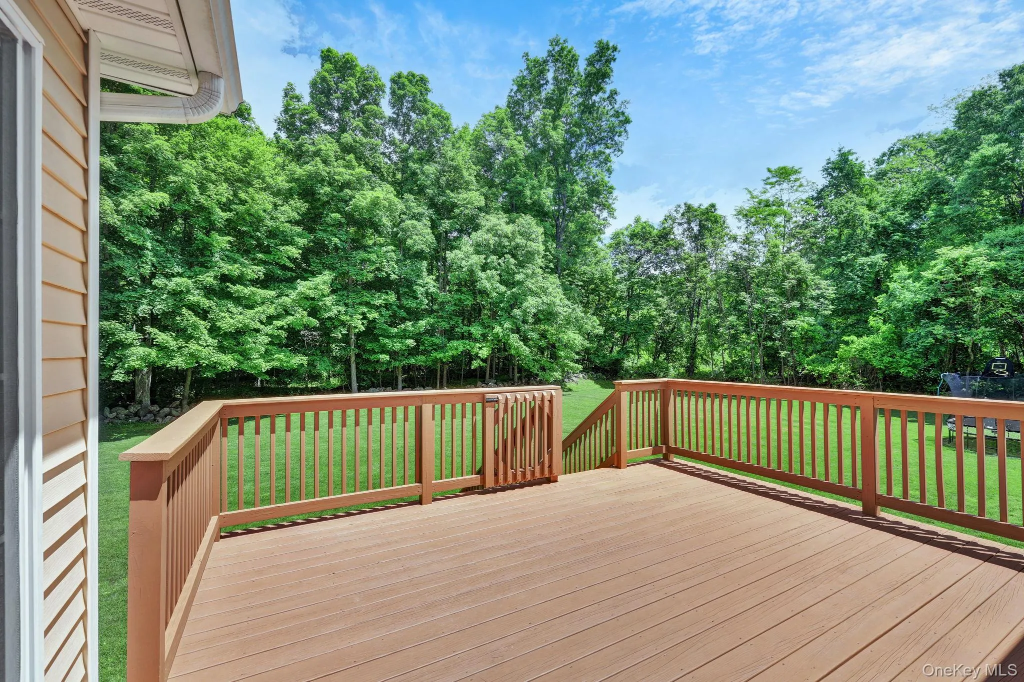 Spacious composite deck with a gated entry, providing access to the grassy yard bordered by mature trees Spacious composite deck with a gated entry, providing access to the grassy yard bordered by mature trees