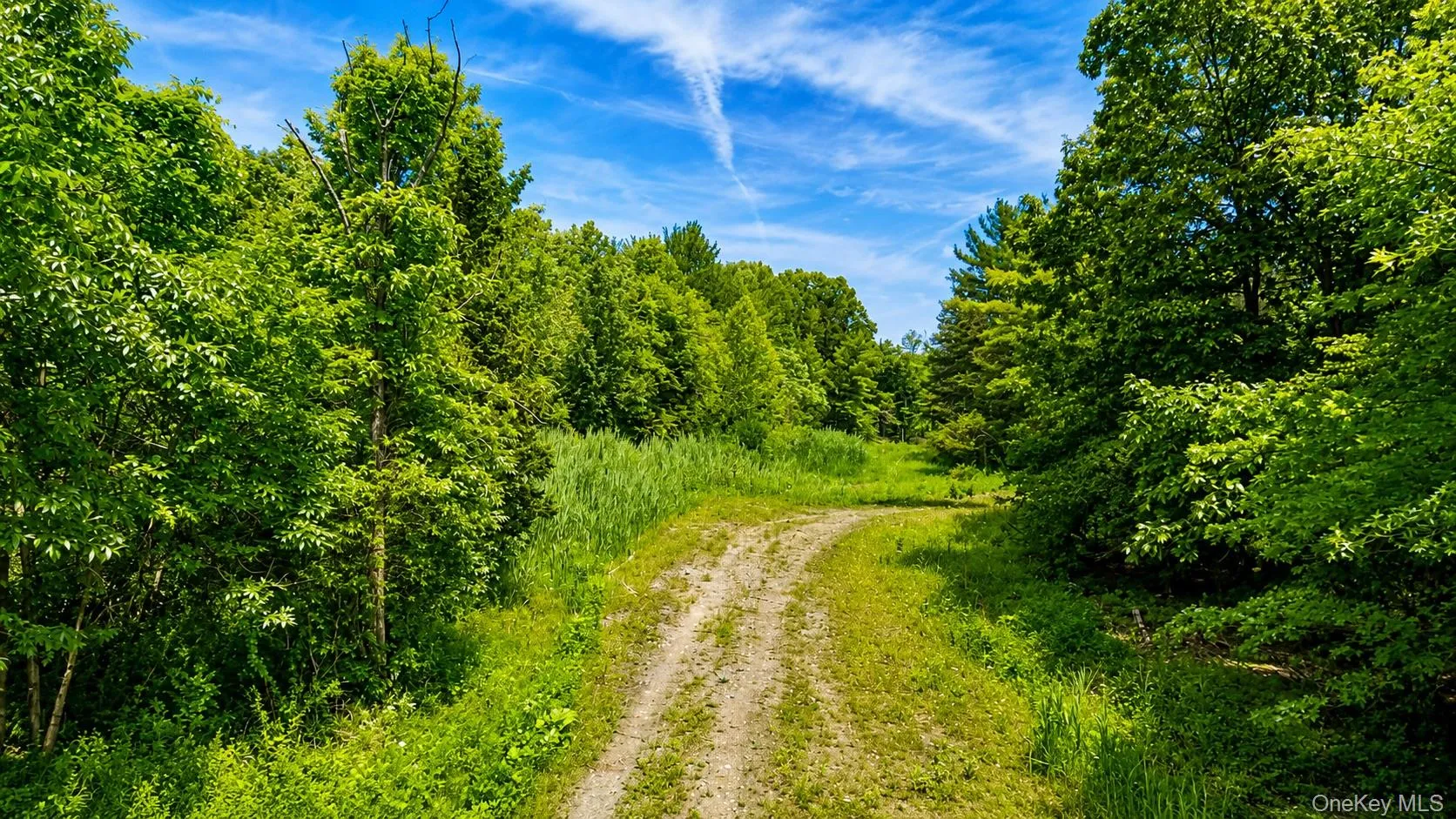 19 Deer Run West, Catskill, NY, 4 Bedrooms Bedrooms, 7 Rooms Rooms,2 BathroomsBathrooms,Residential,For Rent,Deer Run West,0,983418 19 Deer Run West, Catskill, NY, 4 Bedrooms Bedrooms, 7 Rooms Rooms,2 BathroomsBathrooms,Residential,For Rent,Deer Run West,0,983418