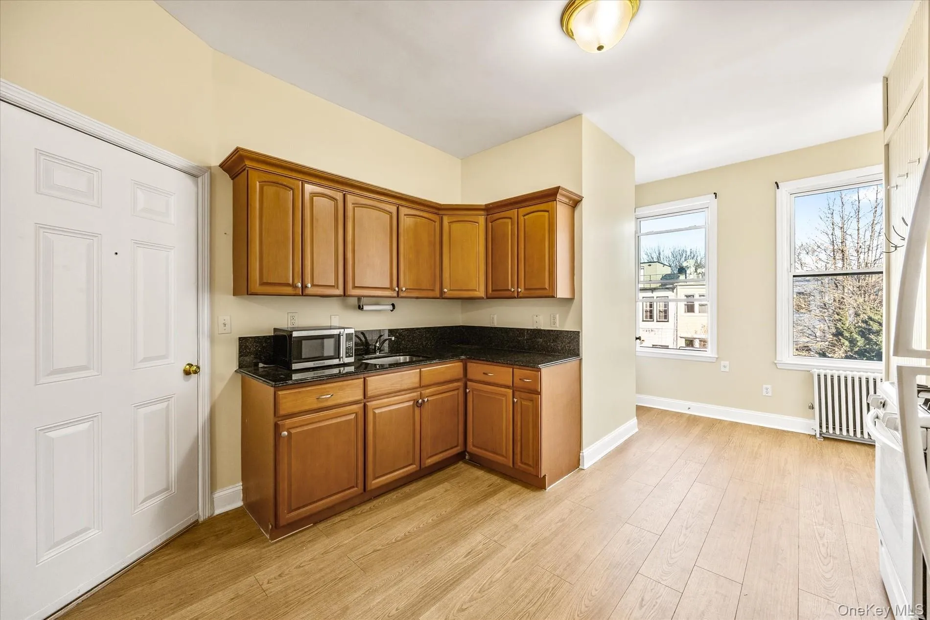 60-19 54th Street, New York, NY, 1 Bedroom Bedrooms, 3 Rooms Rooms,1 BathroomBathrooms,Residential Lease,For Rent,54th,0,983445 60-19 54th Street, New York, NY, 1 Bedroom Bedrooms, 3 Rooms Rooms,1 BathroomBathrooms,Residential Lease,For Rent,54th,0,983445