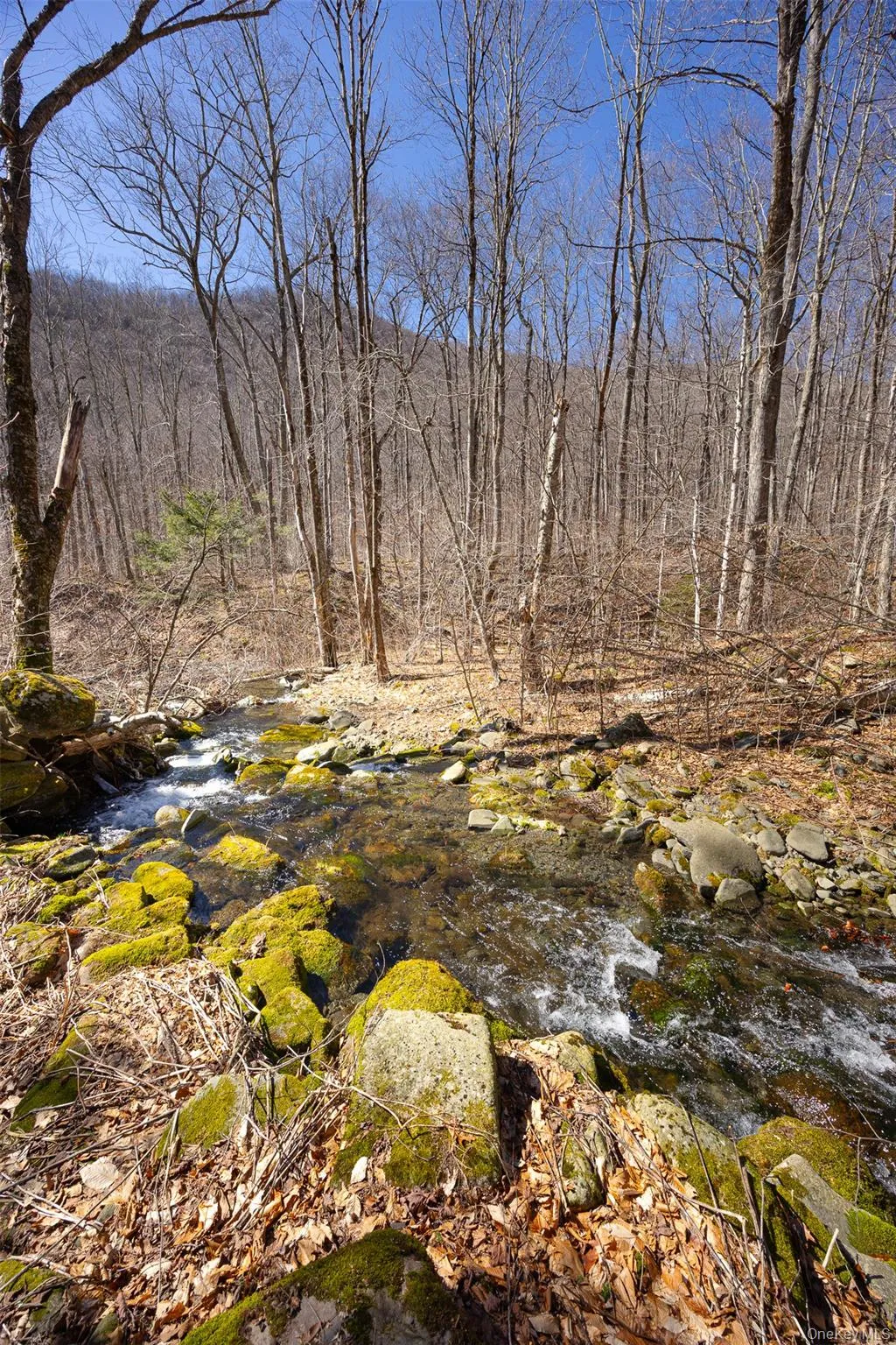 View of undeveloped land with a nearby body of water View of undeveloped land with a nearby body of water