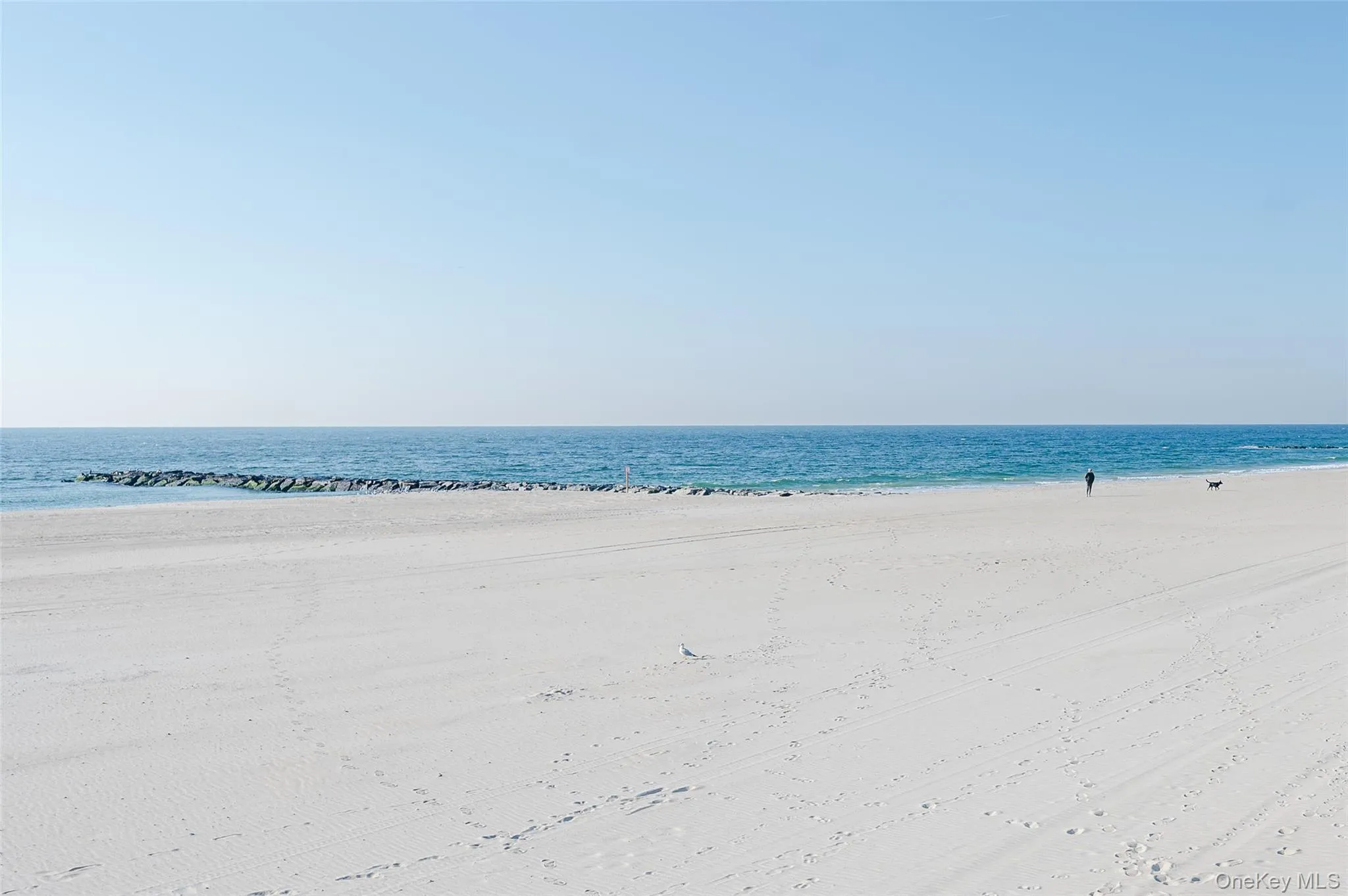 55 Indiana Avenue, Long Beach, NY, 3 Bedrooms Bedrooms, 6 Rooms Rooms,2 BathroomsBathrooms,Residential Lease,For Rent,Indiana,0,983463 55 Indiana Avenue, Long Beach, NY, 3 Bedrooms Bedrooms, 6 Rooms Rooms,2 BathroomsBathrooms,Residential Lease,For Rent,Indiana,0,983463