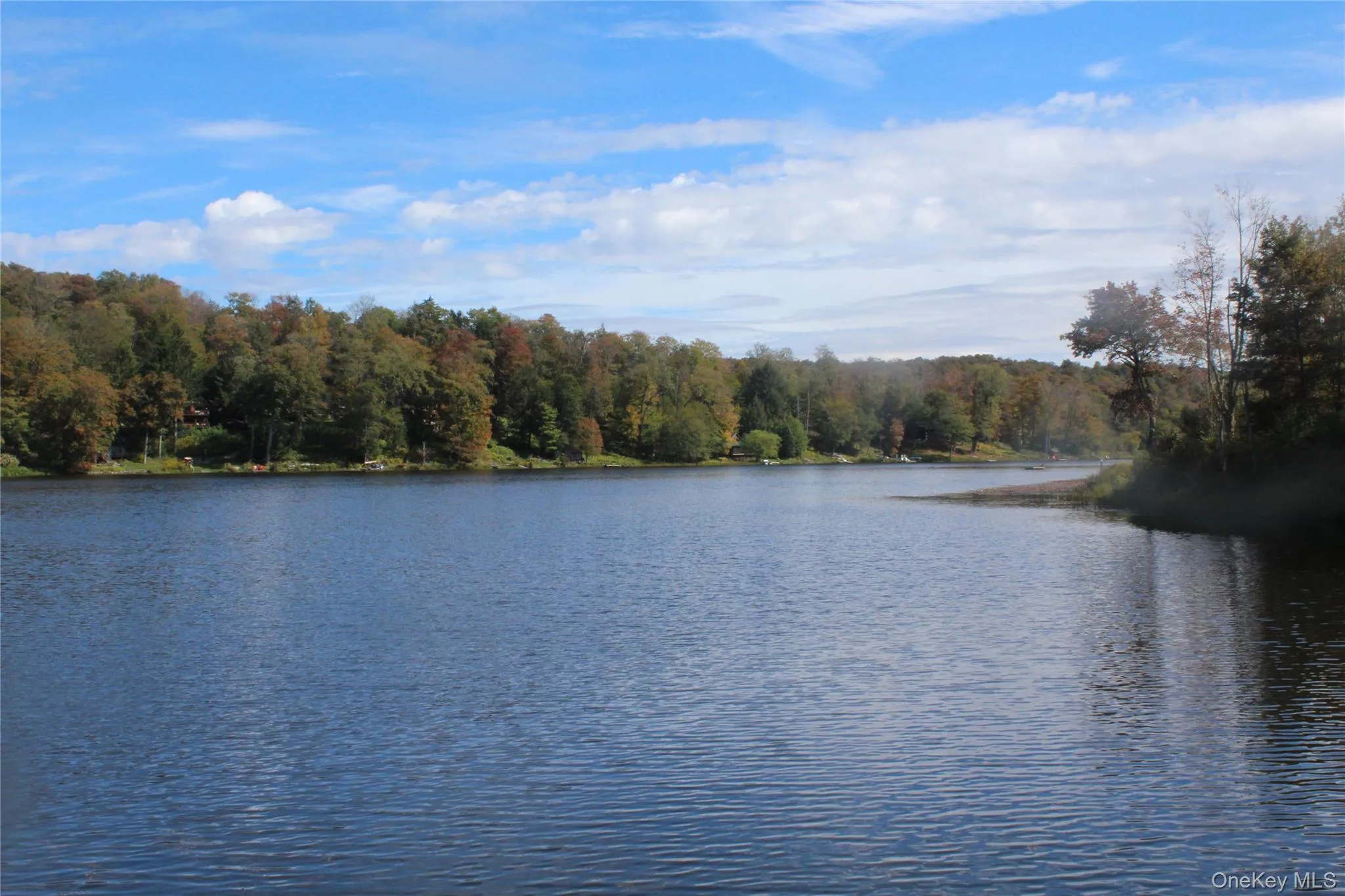 Trout Brook Road, Fremont, NY, ,Land,For Rent,Trout Brook,0,983521 Trout Brook Road, Fremont, NY, ,Land,For Rent,Trout Brook,0,983521