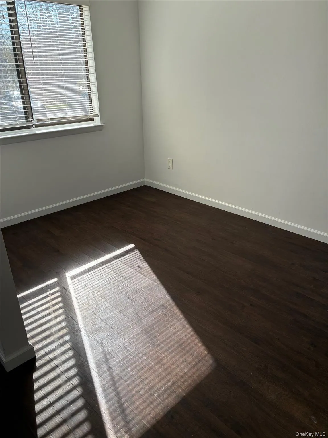 nice size dining area with double windows for lots of light nice size dining area with double windows for lots of light