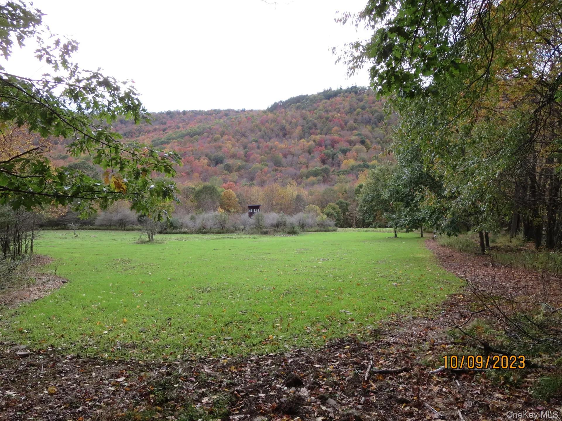 Gregory Hollow Road, Hamden, NY, ,Land,For Rent,Gregory Hollow,0,983534 Gregory Hollow Road, Hamden, NY, ,Land,For Rent,Gregory Hollow,0,983534