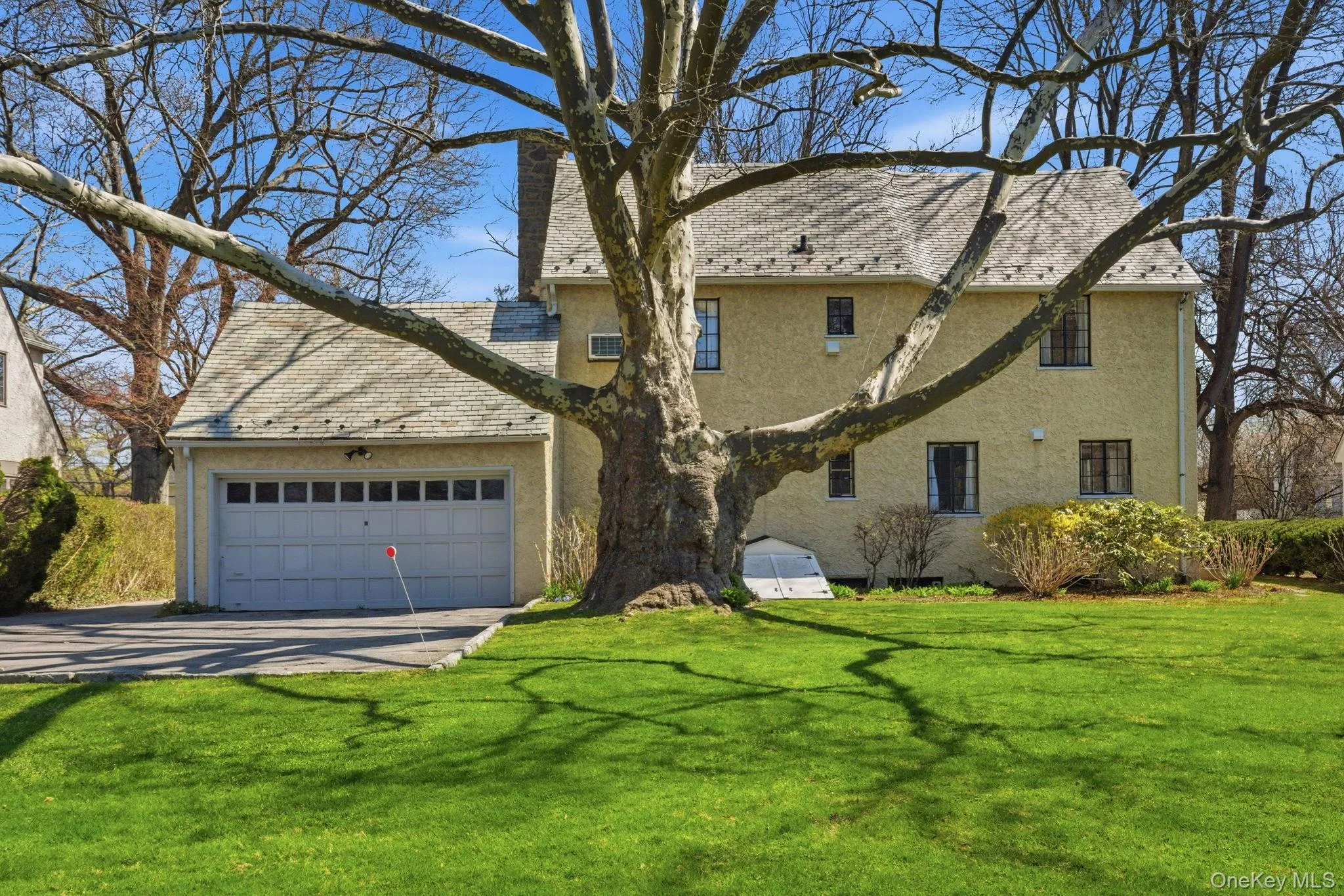 5 Seymour Place, White Plains, NY, 4 Bedrooms Bedrooms, 8 Rooms Rooms,3 BathroomsBathrooms,Residential,For Rent,Seymour,0,983542 5 Seymour Place, White Plains, NY, 4 Bedrooms Bedrooms, 8 Rooms Rooms,3 BathroomsBathrooms,Residential,For Rent,Seymour,0,983542