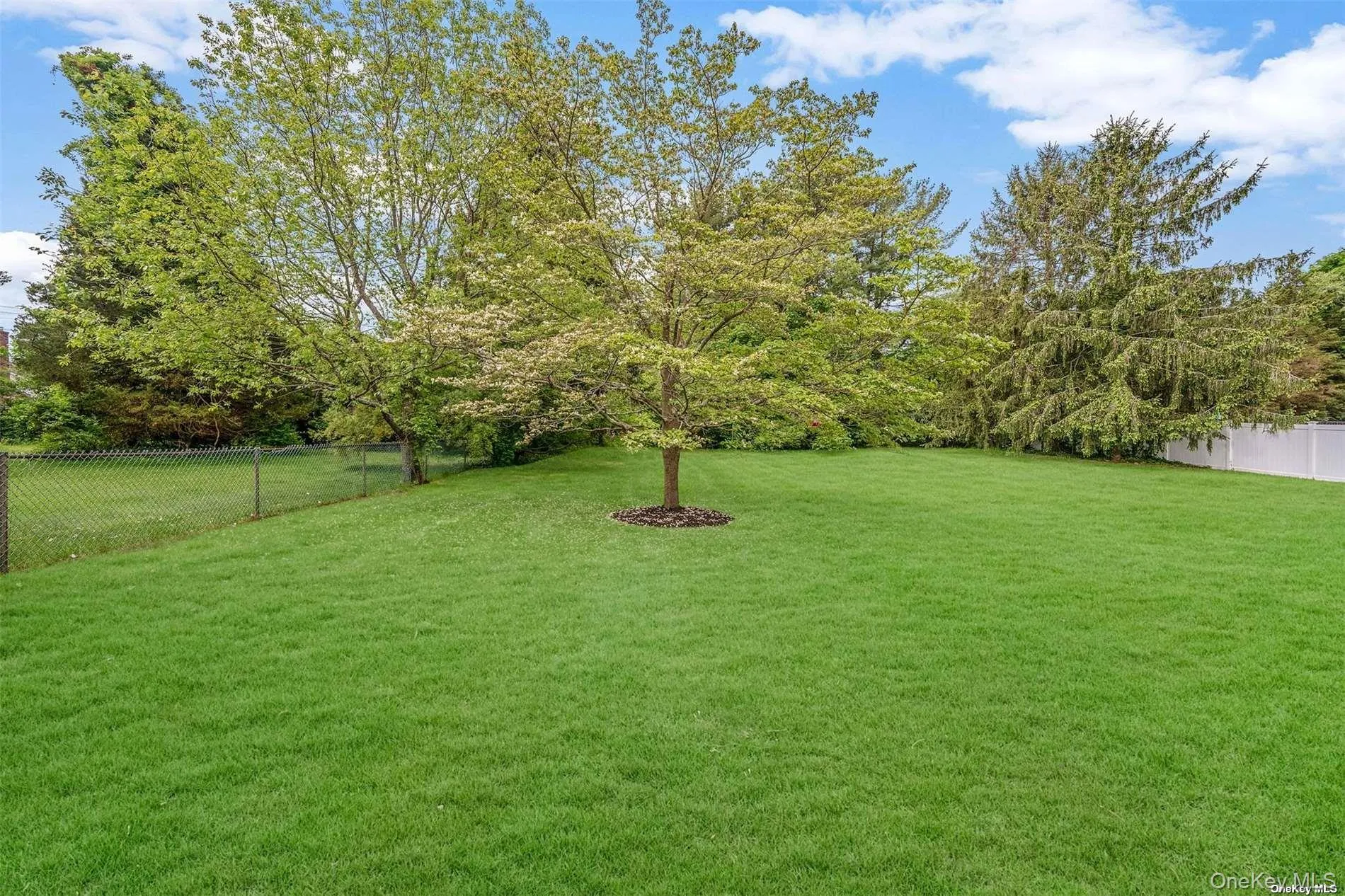 278 Pipe Stave Hollow Road, Brookhaven, NY, 4 Bedrooms Bedrooms, 8 Rooms Rooms,3 BathroomsBathrooms,Residential Lease,For Rent,Pipe Stave Hollow,0,983566 278 Pipe Stave Hollow Road, Brookhaven, NY, 4 Bedrooms Bedrooms, 8 Rooms Rooms,3 BathroomsBathrooms,Residential Lease,For Rent,Pipe Stave Hollow,0,983566