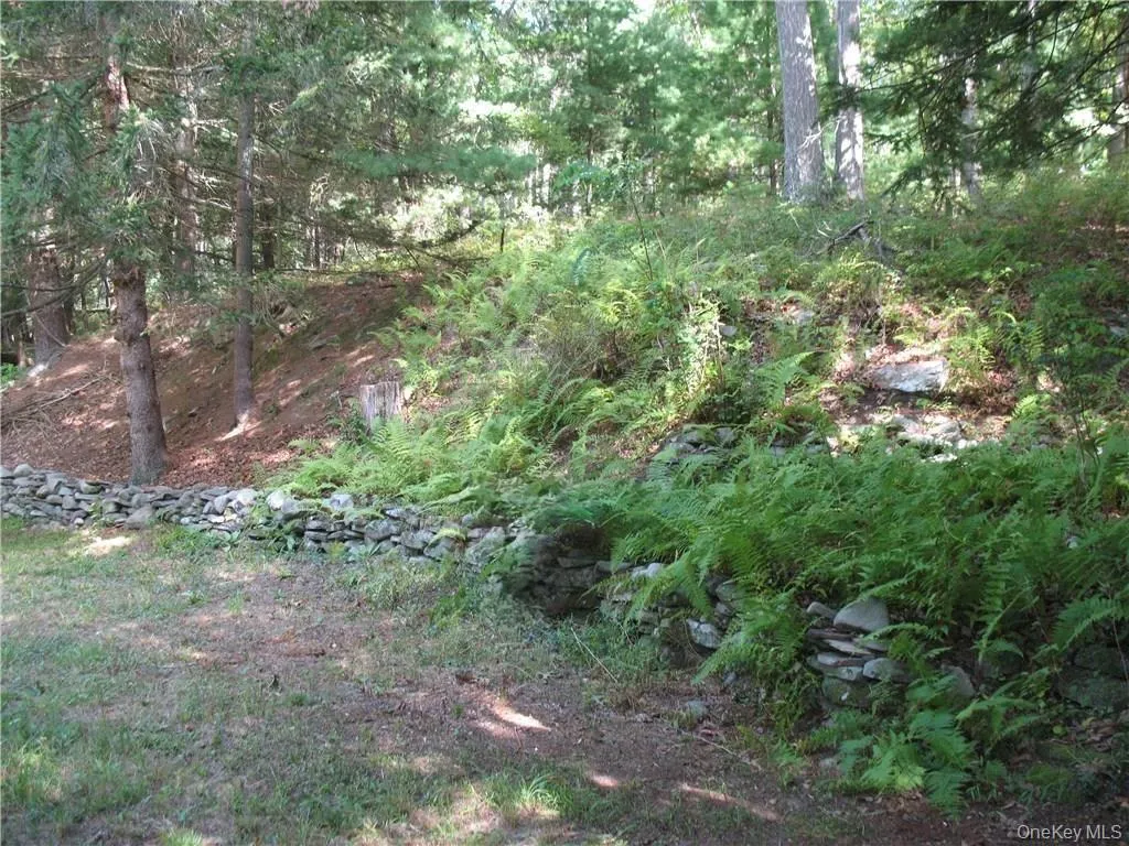 441 Hollow Road, Lumberland, NY, 2 Bedrooms Bedrooms, 6 Rooms Rooms,2 BathroomsBathrooms,Residential,For Rent,Hollow,0,983599 441 Hollow Road, Lumberland, NY, 2 Bedrooms Bedrooms, 6 Rooms Rooms,2 BathroomsBathrooms,Residential,For Rent,Hollow,0,983599