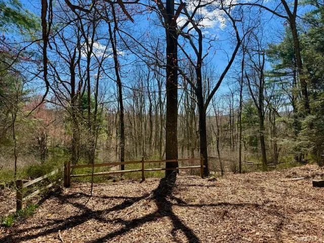 441 Hollow Road, Lumberland, NY, 2 Bedrooms Bedrooms, 6 Rooms Rooms,2 BathroomsBathrooms,Residential,For Rent,Hollow,0,983599 441 Hollow Road, Lumberland, NY, 2 Bedrooms Bedrooms, 6 Rooms Rooms,2 BathroomsBathrooms,Residential,For Rent,Hollow,0,983599