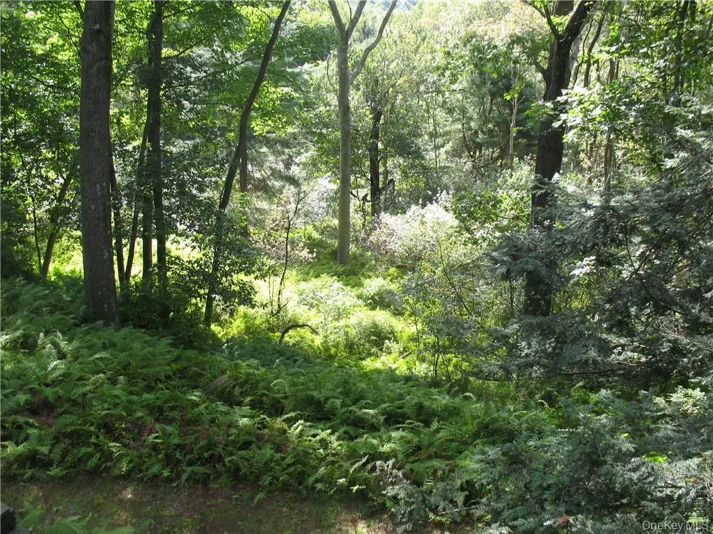 441 Hollow Road, Lumberland, NY, 2 Bedrooms Bedrooms, 6 Rooms Rooms,2 BathroomsBathrooms,Residential,For Rent,Hollow,0,983599 441 Hollow Road, Lumberland, NY, 2 Bedrooms Bedrooms, 6 Rooms Rooms,2 BathroomsBathrooms,Residential,For Rent,Hollow,0,983599