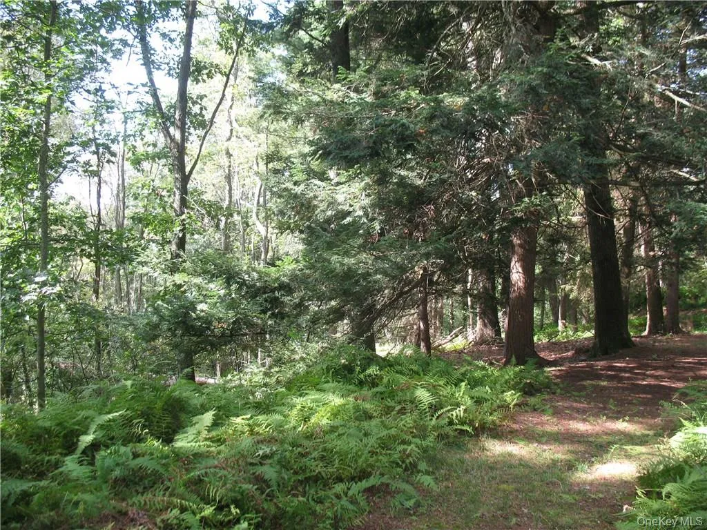 441 Hollow Road, Lumberland, NY, 2 Bedrooms Bedrooms, 6 Rooms Rooms,2 BathroomsBathrooms,Residential,For Rent,Hollow,0,983599 441 Hollow Road, Lumberland, NY, 2 Bedrooms Bedrooms, 6 Rooms Rooms,2 BathroomsBathrooms,Residential,For Rent,Hollow,0,983599