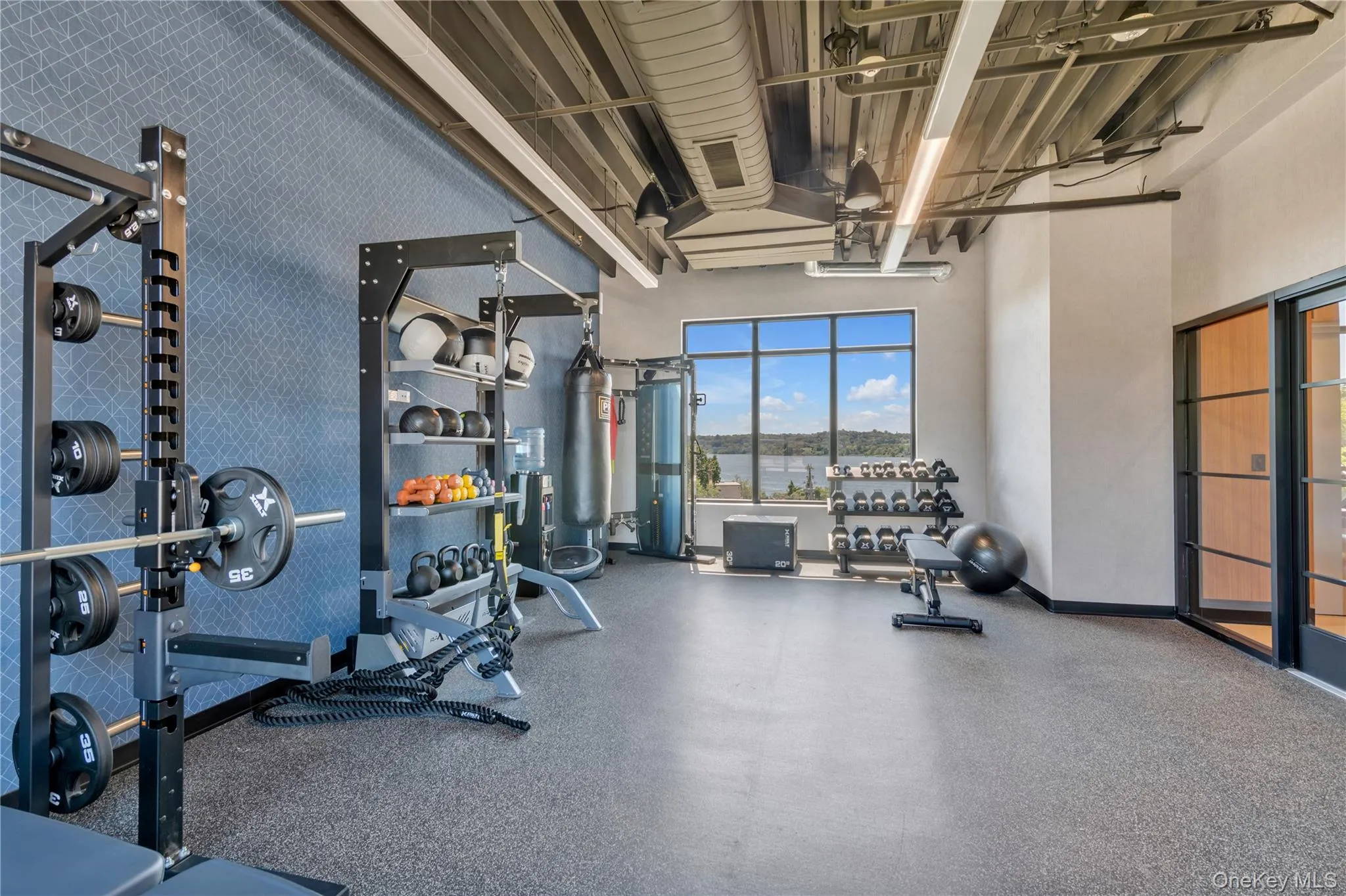 Free Weight Room Free Weight Room