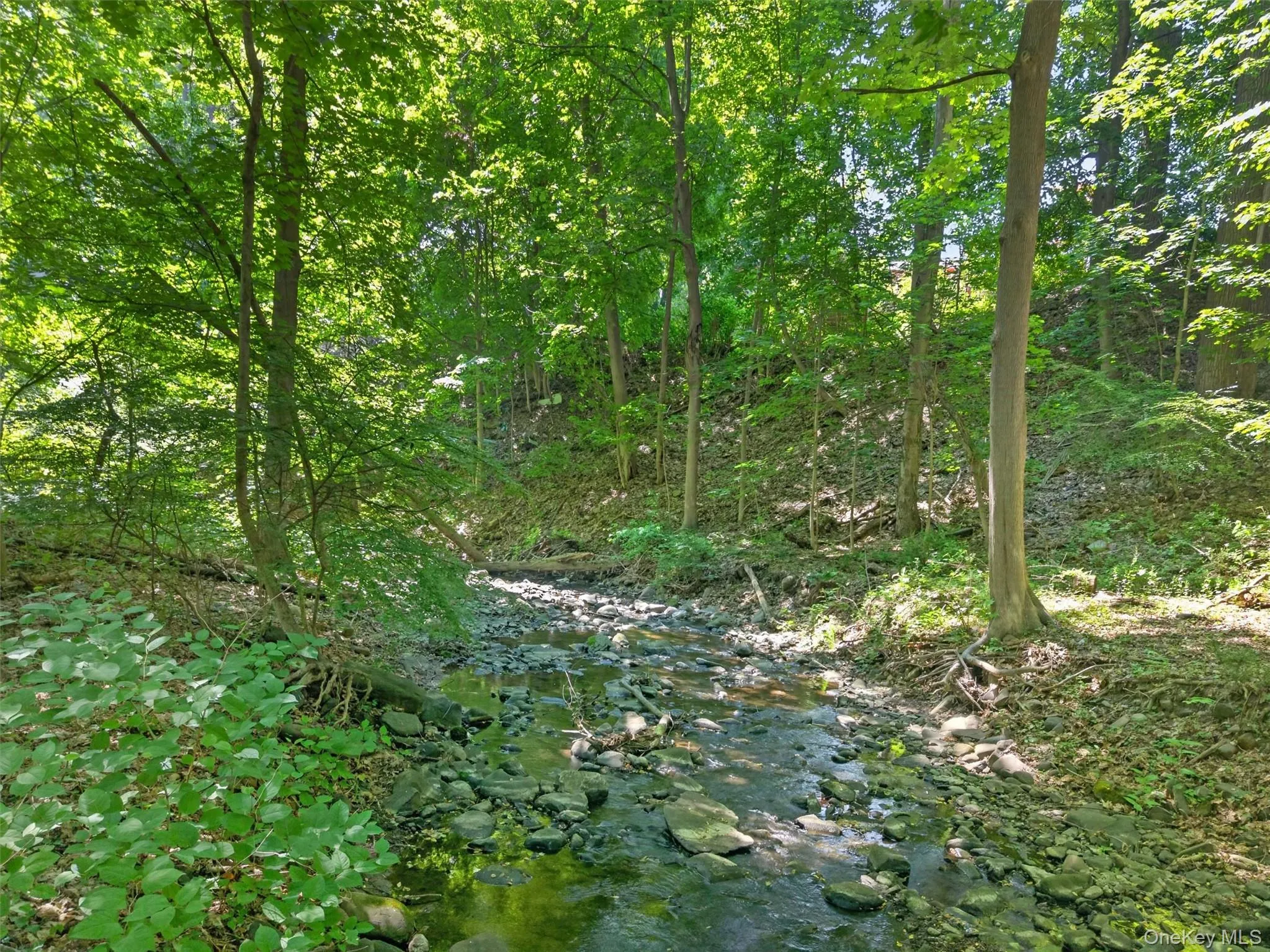 233 Blooming Grove Turnpike, New Windsor, NY, 3 Bedrooms Bedrooms, 8 Rooms Rooms,2 BathroomsBathrooms,Residential,For Rent,Blooming Grove,0,983636 233 Blooming Grove Turnpike, New Windsor, NY, 3 Bedrooms Bedrooms, 8 Rooms Rooms,2 BathroomsBathrooms,Residential,For Rent,Blooming Grove,0,983636