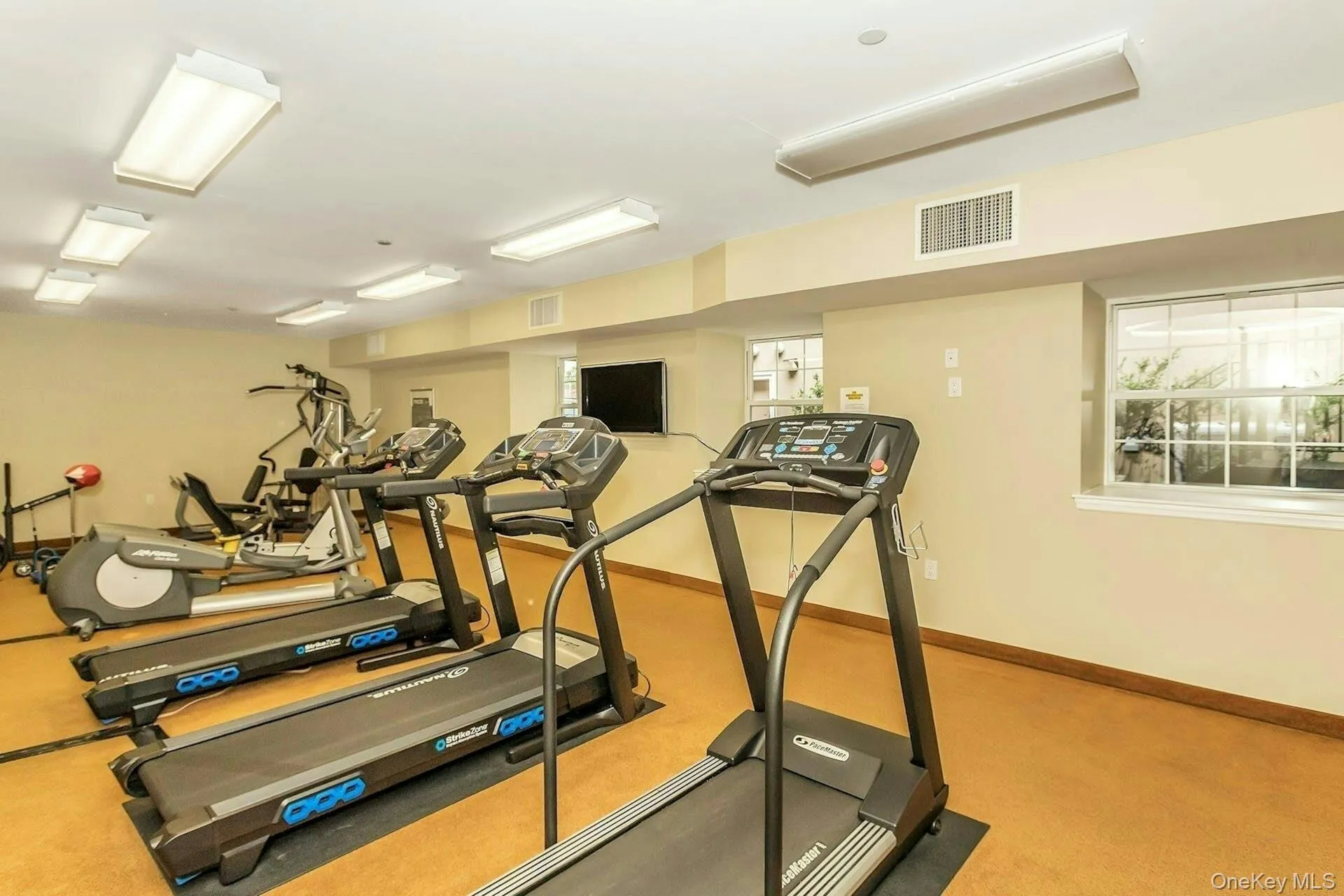 150-31 12th Avenue, New York, NY, 1 Bedroom Bedrooms, 4 Rooms Rooms,1 BathroomBathrooms,Residential,For Rent,12th,0,983647 150-31 12th Avenue, New York, NY, 1 Bedroom Bedrooms, 4 Rooms Rooms,1 BathroomBathrooms,Residential,For Rent,12th,0,983647