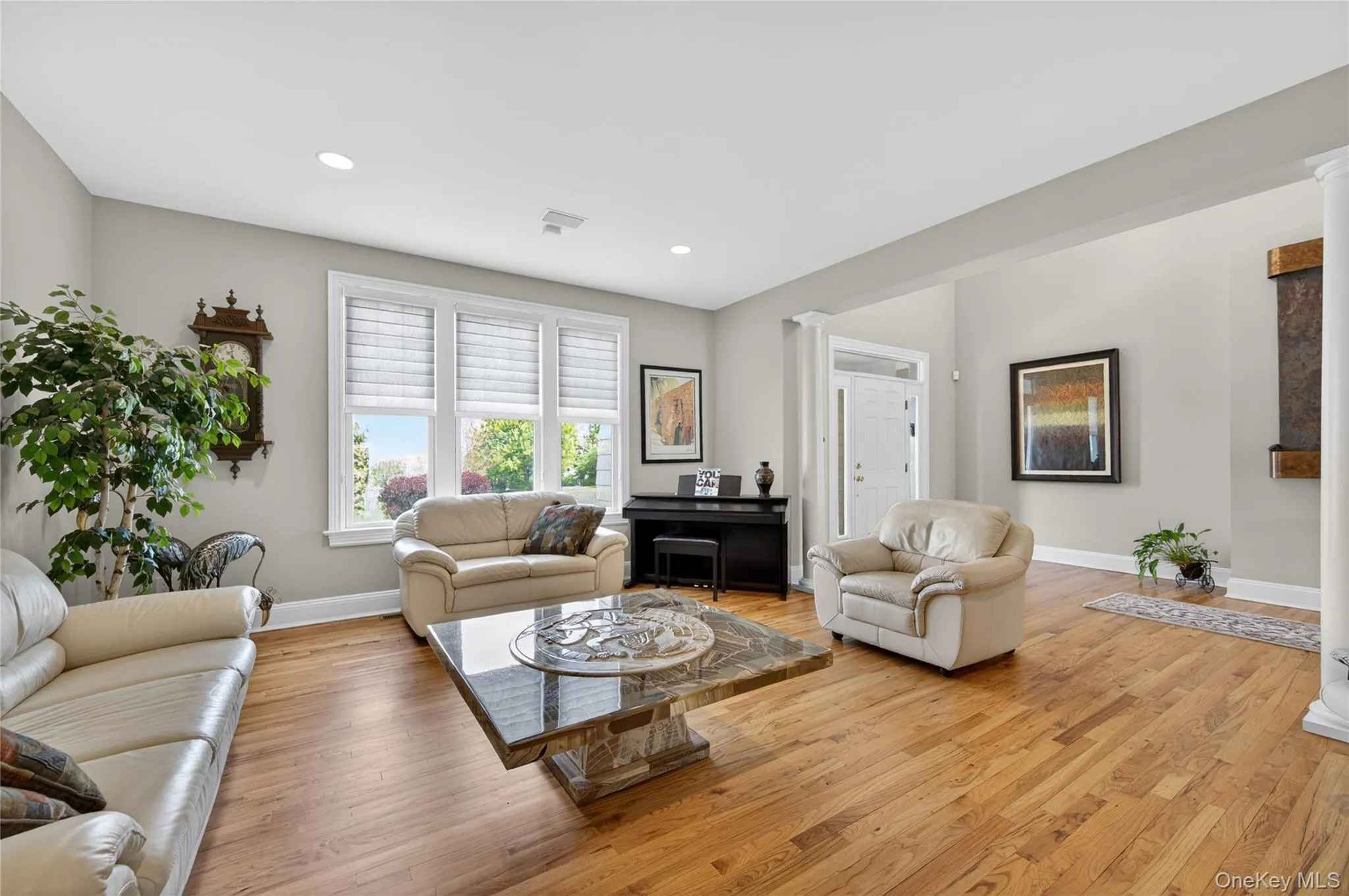 Living room with abundant natural light Living room with abundant natural light