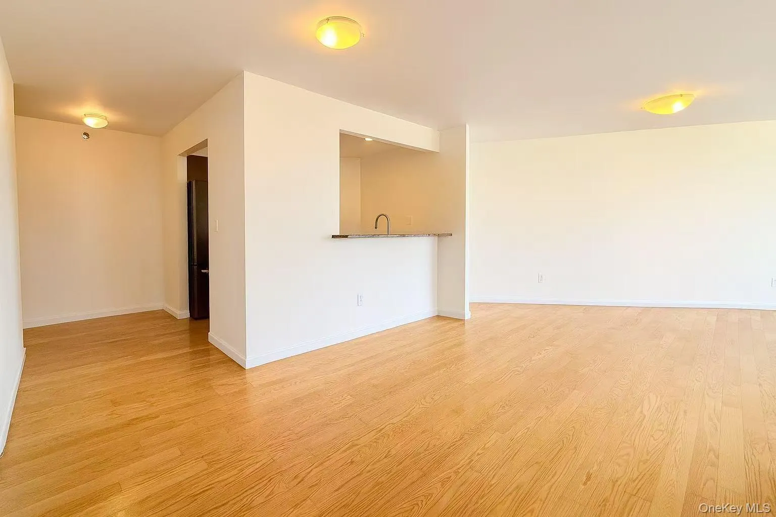 Empty room with light wood-type flooring and baseboards Empty room with light wood-type flooring and baseboards
