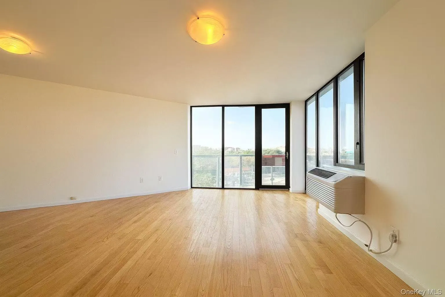 Spare room featuring a wall of windows and light wood-style flooring Spare room featuring a wall of windows and light wood-style flooring