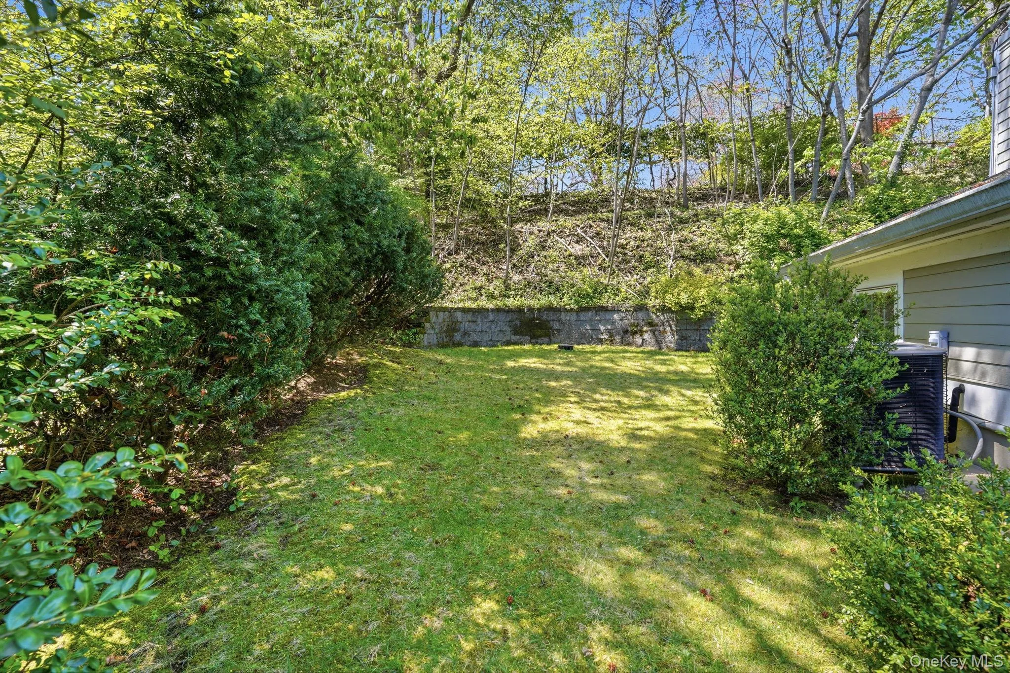 View of the side yard. View of the side yard.