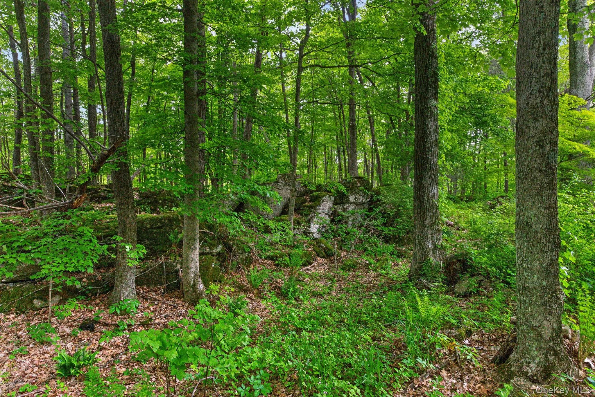 25 acres 25 acres