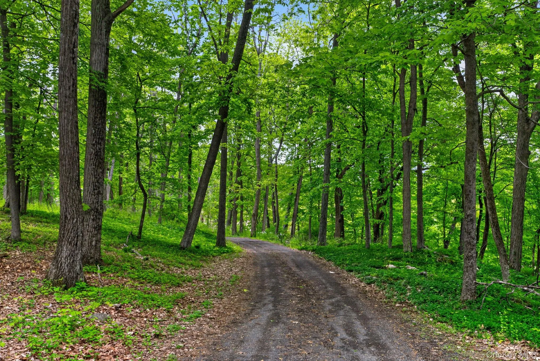 Private Driveway Private Driveway