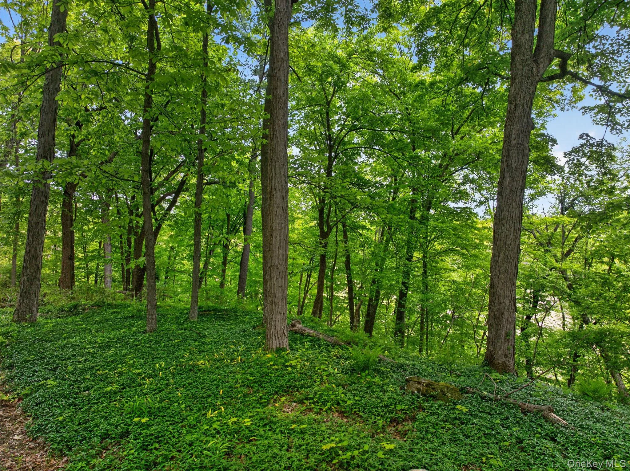 25 acres 25 acres