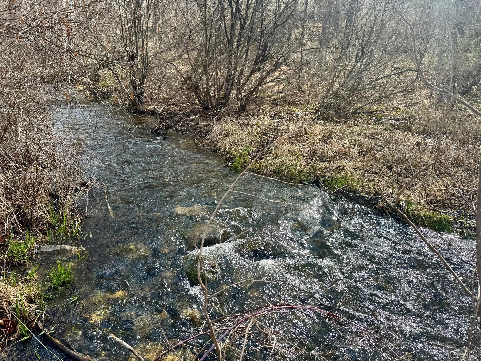 Walk to Little Wappingers Creek on the Property Walk to Little Wappingers Creek on the Property