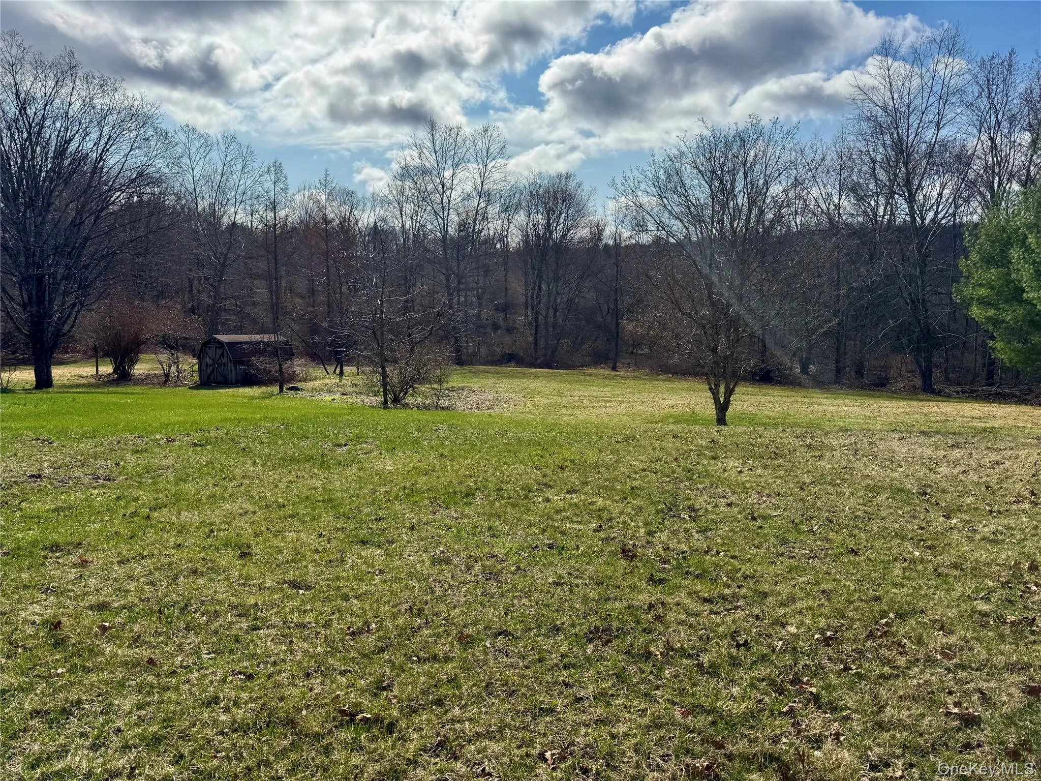 Sunny Open Fields with Fruit Trees Sunny Open Fields with Fruit Trees
