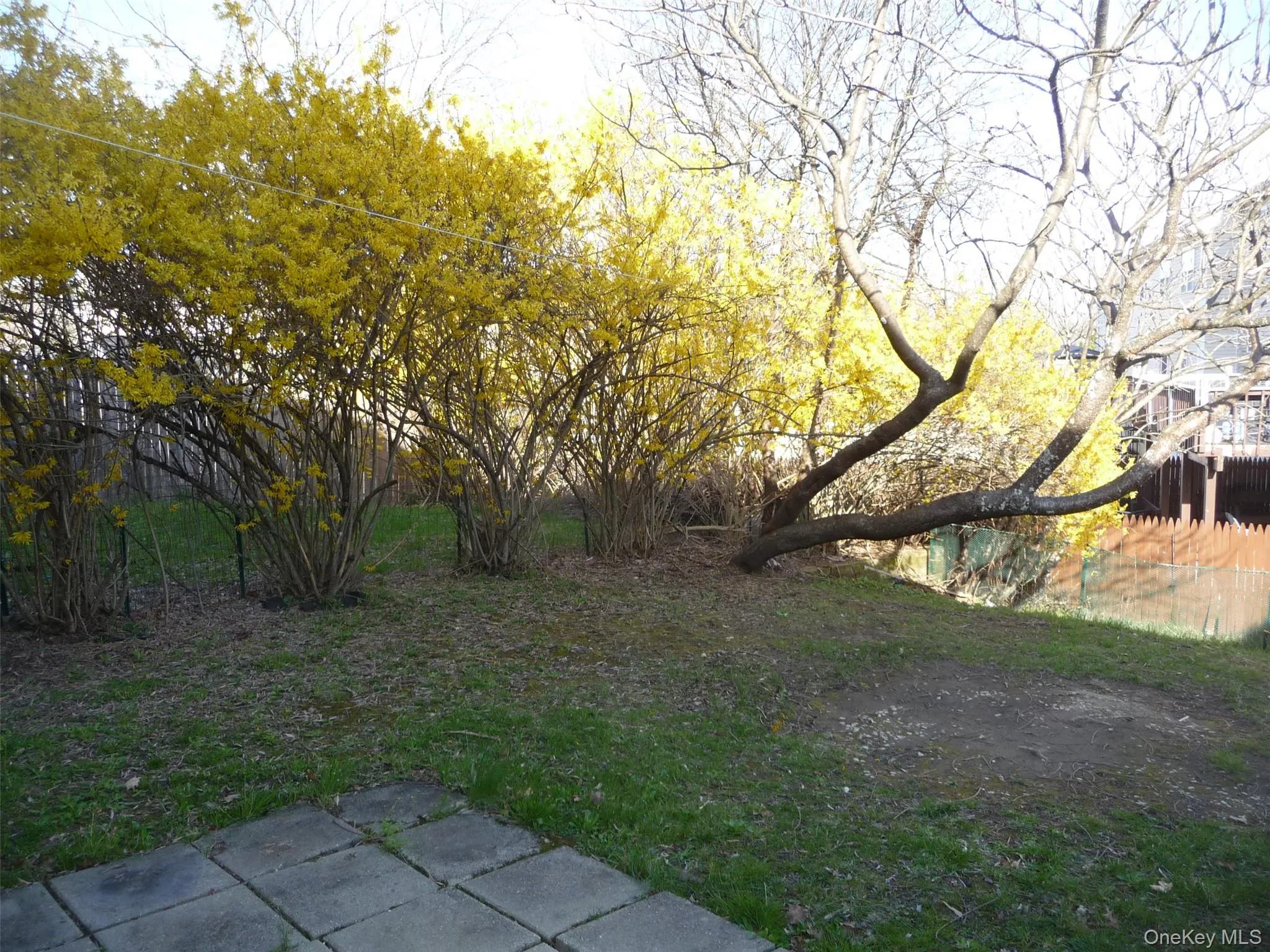 39 Cedar Court, Middletown, NY, 3 Bedrooms Bedrooms, 7 Rooms Rooms,1 BathroomBathrooms,Residential Lease,For Rent,Cedar,0,983871 39 Cedar Court, Middletown, NY, 3 Bedrooms Bedrooms, 7 Rooms Rooms,1 BathroomBathrooms,Residential Lease,For Rent,Cedar,0,983871