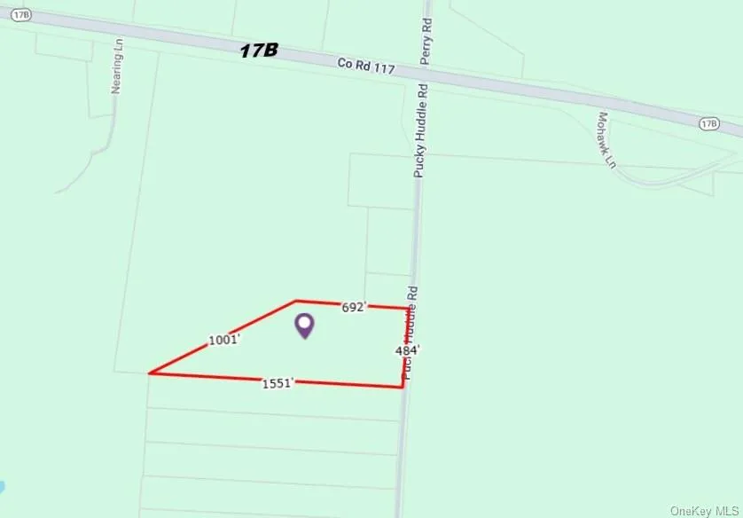 62 Pucky Huddle Road, Bethel, NY, 2 Bedrooms Bedrooms, 5 Rooms Rooms,2 BathroomsBathrooms,Residential,For Rent,Pucky Huddle,0,983902 62 Pucky Huddle Road, Bethel, NY, 2 Bedrooms Bedrooms, 5 Rooms Rooms,2 BathroomsBathrooms,Residential,For Rent,Pucky Huddle,0,983902