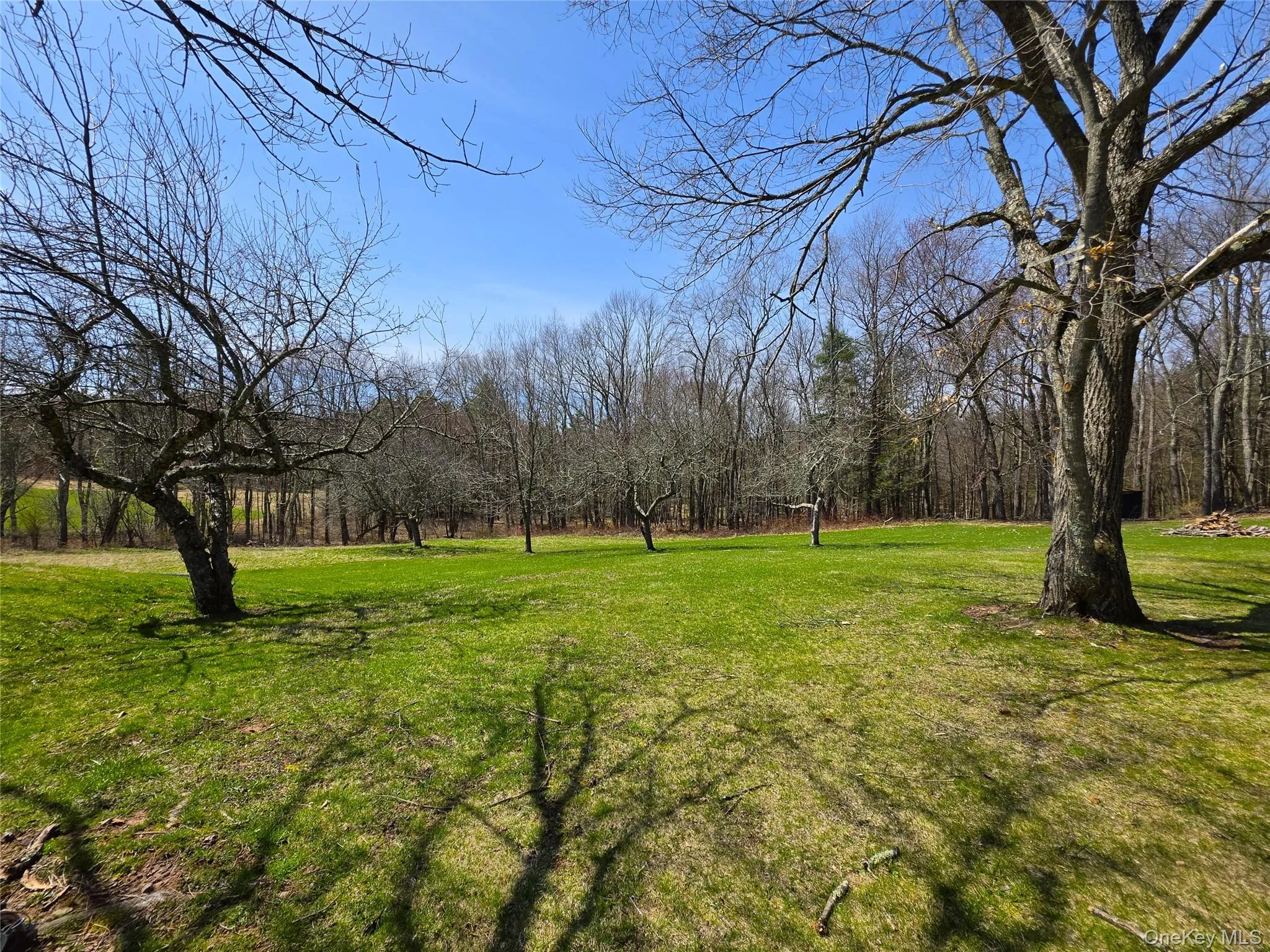 62 Pucky Huddle Road, Bethel, NY, 2 Bedrooms Bedrooms, 5 Rooms Rooms,2 BathroomsBathrooms,Residential,For Rent,Pucky Huddle,0,983902 62 Pucky Huddle Road, Bethel, NY, 2 Bedrooms Bedrooms, 5 Rooms Rooms,2 BathroomsBathrooms,Residential,For Rent,Pucky Huddle,0,983902