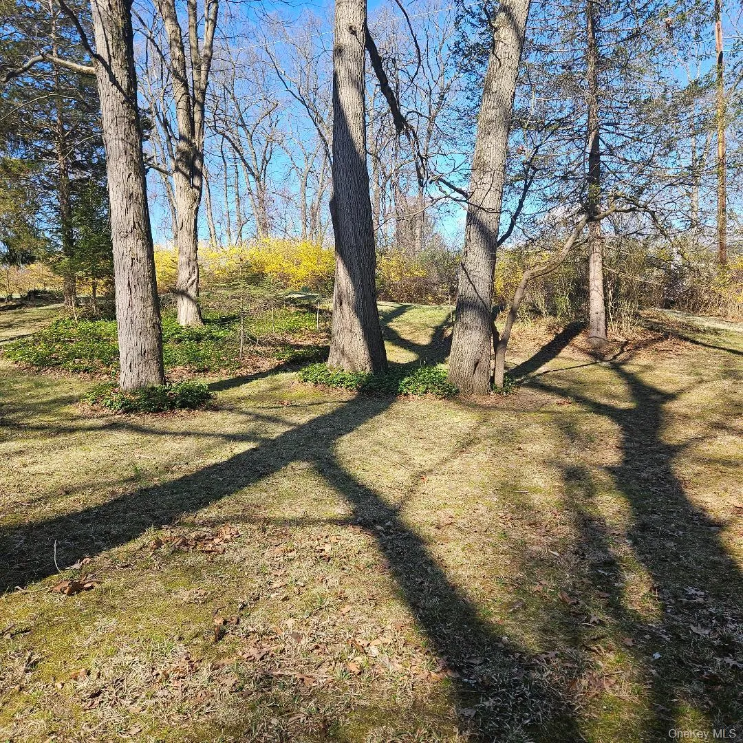 41 Wildwood Drive, Poughkeepsie (town), NY, 3 Bedrooms Bedrooms, 8 Rooms Rooms,1 BathroomBathrooms,Residential,For Rent,Wildwood,0,983907 41 Wildwood Drive, Poughkeepsie (town), NY, 3 Bedrooms Bedrooms, 8 Rooms Rooms,1 BathroomBathrooms,Residential,For Rent,Wildwood,0,983907