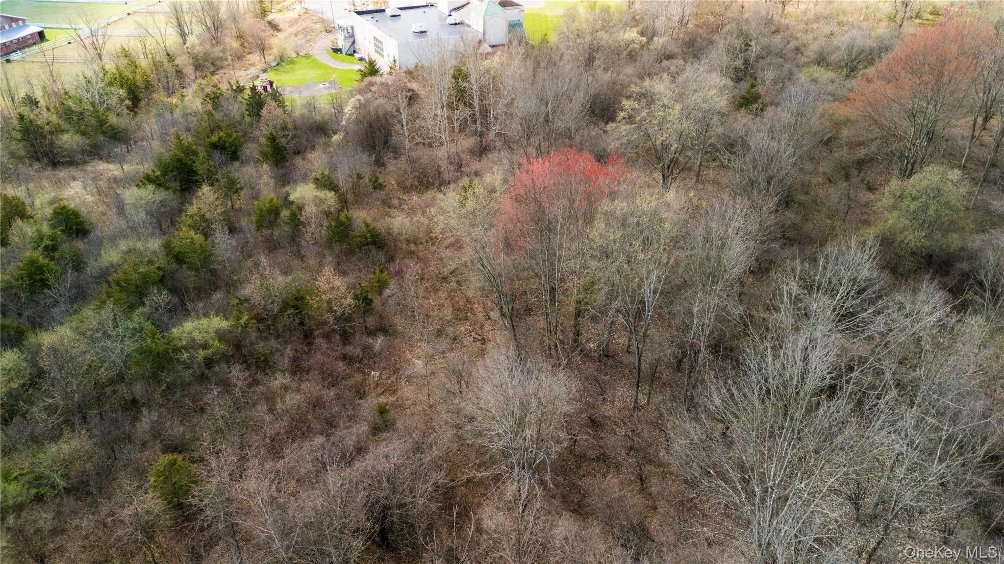 All Angels Hill Road, Wappinger, NY, ,Land,For Rent,All Angels Hill,0,983927 All Angels Hill Road, Wappinger, NY, ,Land,For Rent,All Angels Hill,0,983927