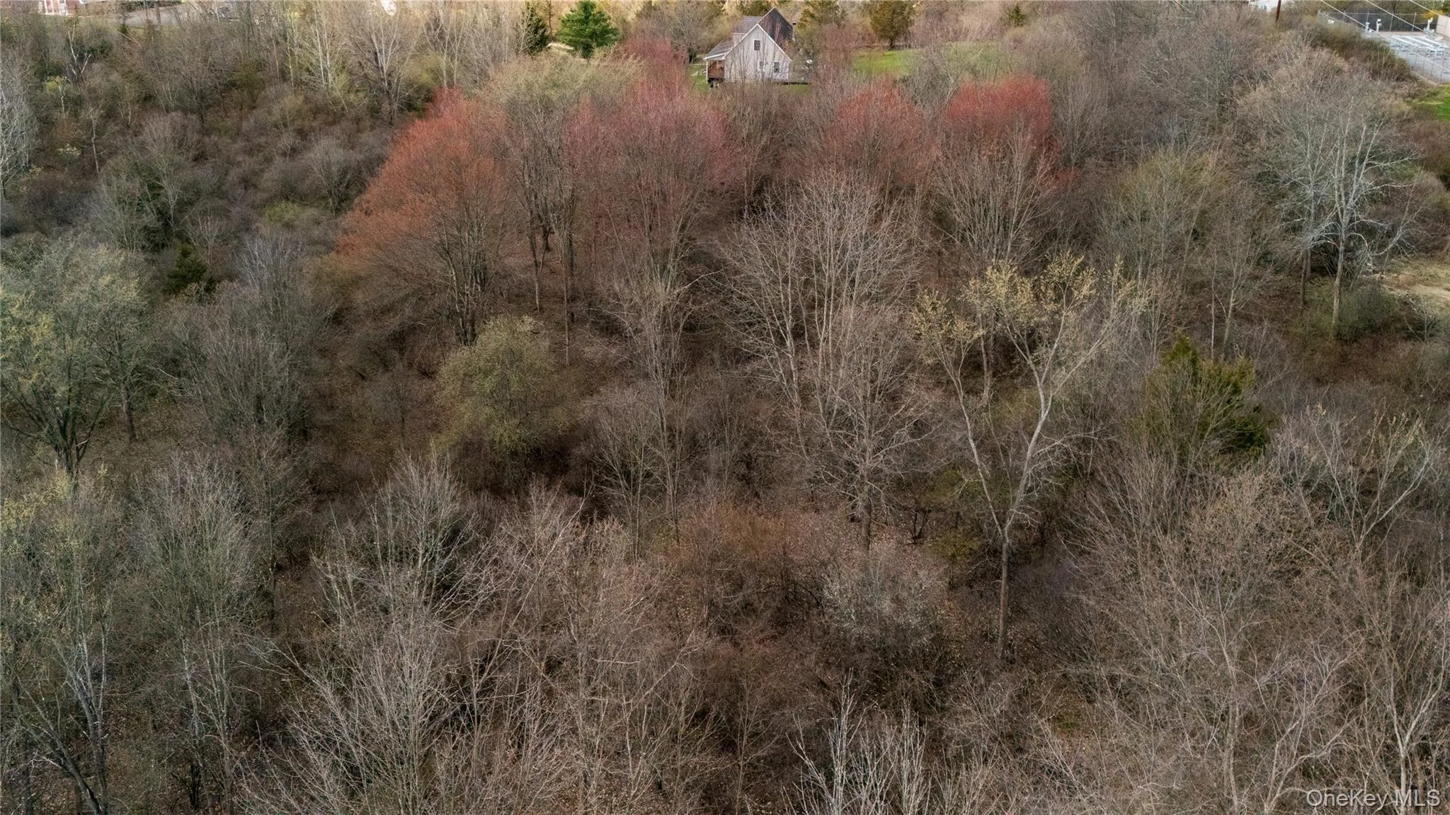 All Angels Hill Road, Wappinger, NY, ,Land,For Rent,All Angels Hill,0,983927 All Angels Hill Road, Wappinger, NY, ,Land,For Rent,All Angels Hill,0,983927