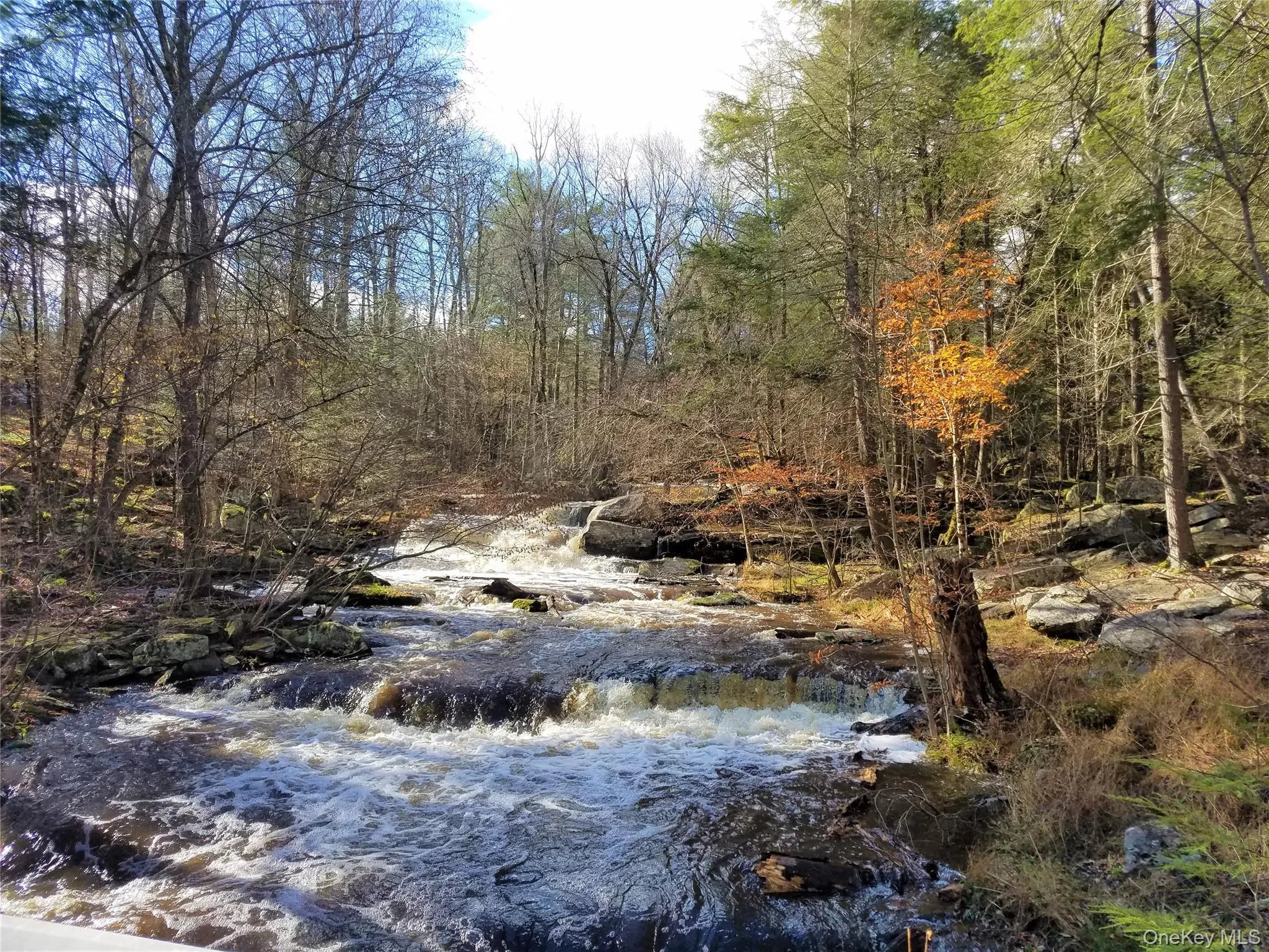 150 Hartwood Drive, Bethel, NY, 3 Bedrooms Bedrooms, 6 Rooms Rooms,2 BathroomsBathrooms,Residential,For Rent,Hartwood,0,983930 150 Hartwood Drive, Bethel, NY, 3 Bedrooms Bedrooms, 6 Rooms Rooms,2 BathroomsBathrooms,Residential,For Rent,Hartwood,0,983930