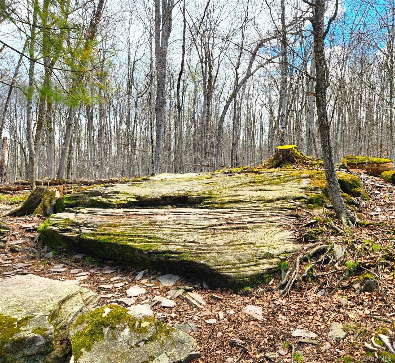 150 Hartwood Drive, Bethel, NY, 3 Bedrooms Bedrooms, 6 Rooms Rooms,2 BathroomsBathrooms,Residential,For Rent,Hartwood,0,983930 150 Hartwood Drive, Bethel, NY, 3 Bedrooms Bedrooms, 6 Rooms Rooms,2 BathroomsBathrooms,Residential,For Rent,Hartwood,0,983930