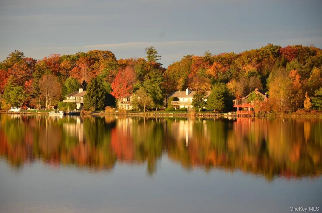 Water view featuring a heavily wooded area Water view featuring a heavily wooded area