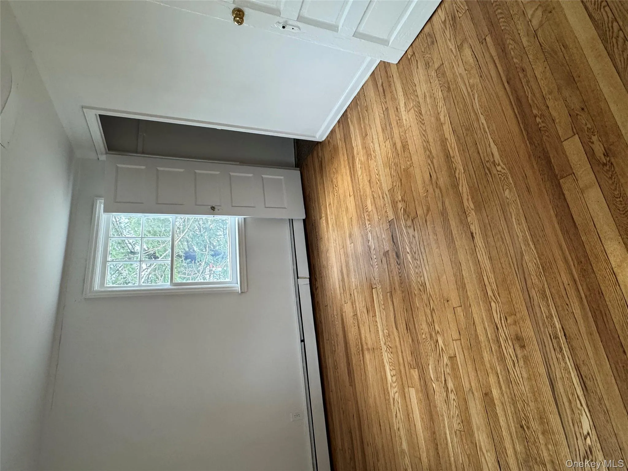 28 A Chestnut Street, North Hempstead, NY, 3 Bedrooms Bedrooms, 5 Rooms Rooms,1 BathroomBathrooms,Residential Lease,For Rent,Chestnut,0,983955 28 A Chestnut Street, North Hempstead, NY, 3 Bedrooms Bedrooms, 5 Rooms Rooms,1 BathroomBathrooms,Residential Lease,For Rent,Chestnut,0,983955