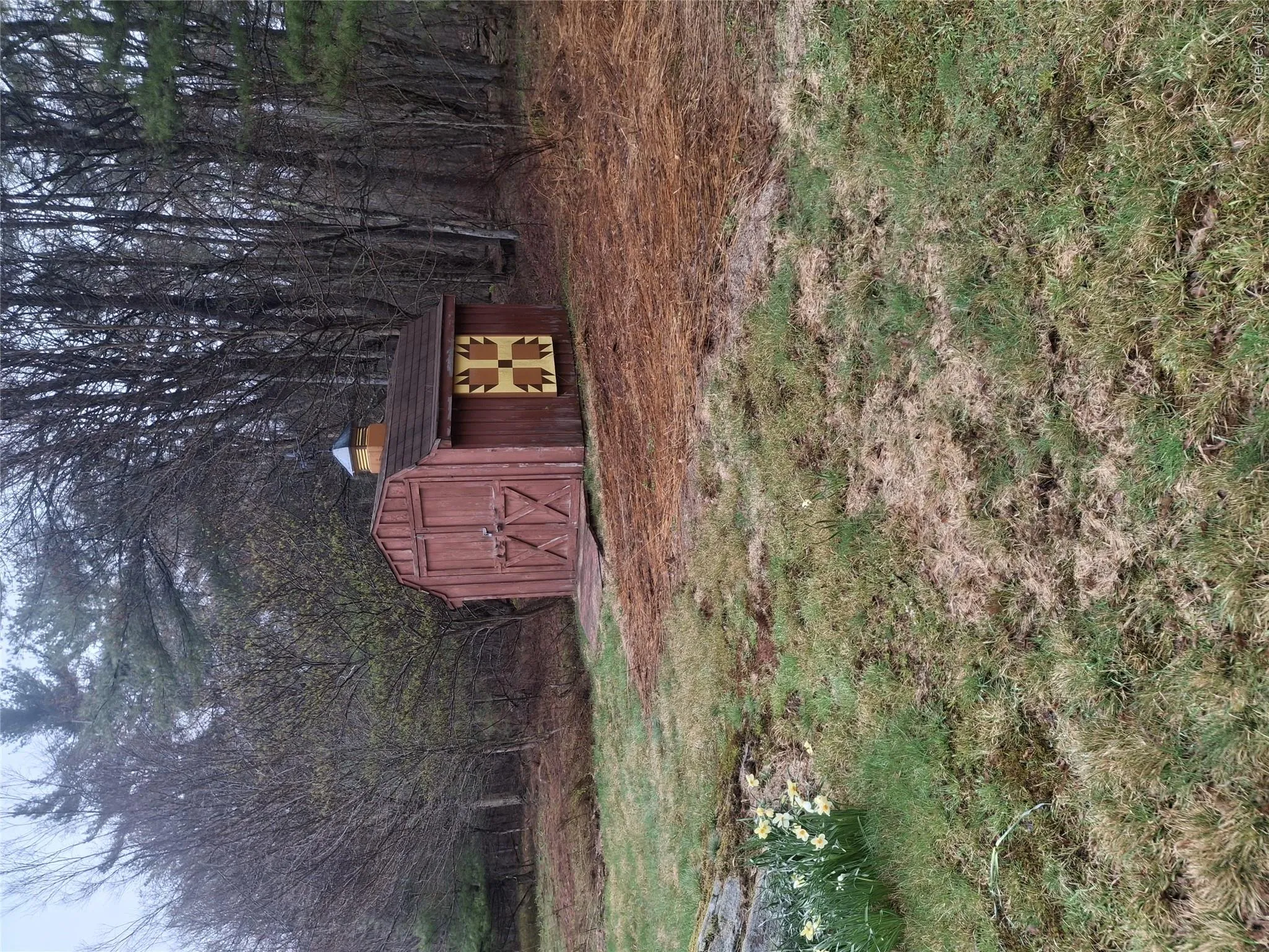 shed shed