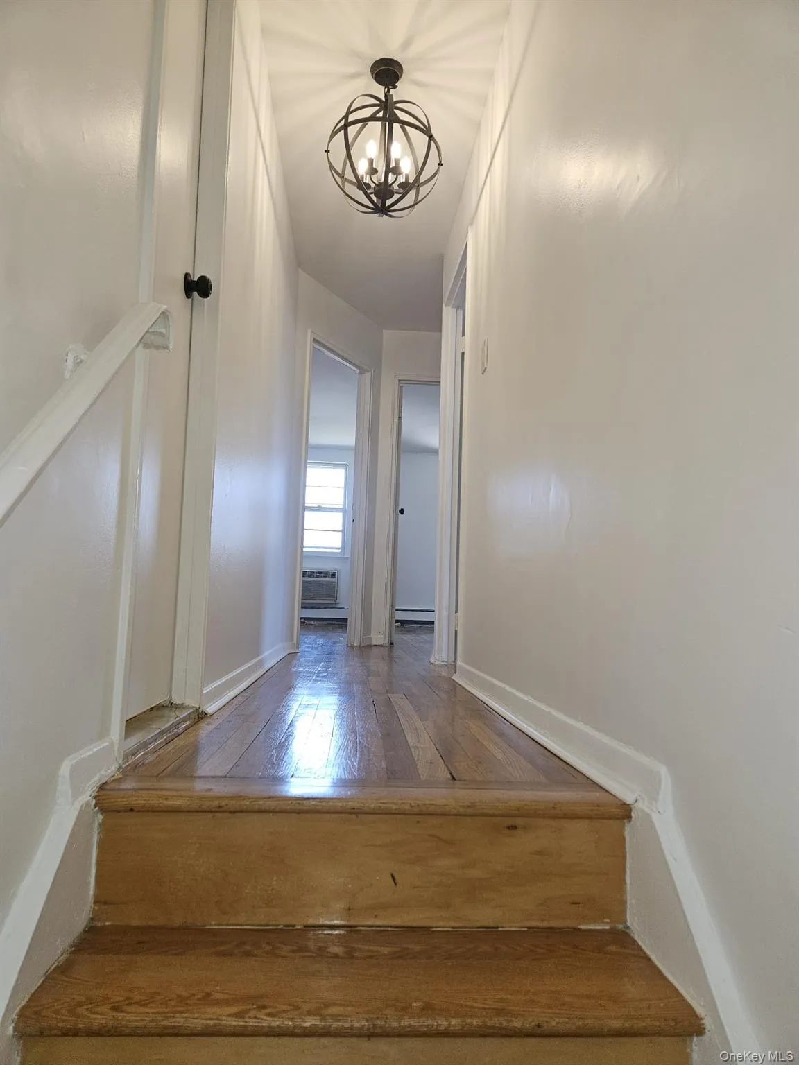 1259 68 Street, New York, NY, 3 Bedrooms Bedrooms, 6 Rooms Rooms,1 BathroomBathrooms,Residential Lease,For Rent,68,0,984088 1259 68 Street, New York, NY, 3 Bedrooms Bedrooms, 6 Rooms Rooms,1 BathroomBathrooms,Residential Lease,For Rent,68,0,984088
