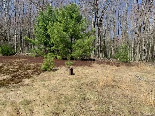 255 Wild Turnpike, Thompson, NY, 2 Bedrooms Bedrooms, 5 Rooms Rooms,1 BathroomBathrooms,Residential,For Rent,Wild,0,984146 255 Wild Turnpike, Thompson, NY, 2 Bedrooms Bedrooms, 5 Rooms Rooms,1 BathroomBathrooms,Residential,For Rent,Wild,0,984146
