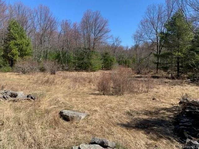 255 Wild Turnpike, Thompson, NY, 2 Bedrooms Bedrooms, 5 Rooms Rooms,1 BathroomBathrooms,Residential,For Rent,Wild,0,984146 255 Wild Turnpike, Thompson, NY, 2 Bedrooms Bedrooms, 5 Rooms Rooms,1 BathroomBathrooms,Residential,For Rent,Wild,0,984146