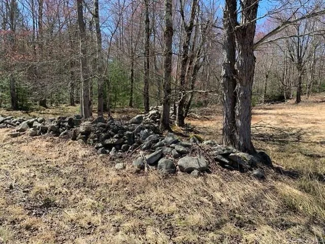 255 Wild Turnpike, Thompson, NY, 2 Bedrooms Bedrooms, 5 Rooms Rooms,1 BathroomBathrooms,Residential,For Rent,Wild,0,984146 255 Wild Turnpike, Thompson, NY, 2 Bedrooms Bedrooms, 5 Rooms Rooms,1 BathroomBathrooms,Residential,For Rent,Wild,0,984146