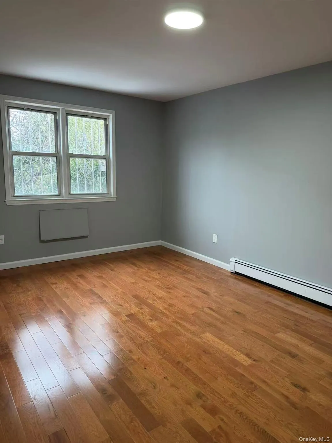 42-41 65th Street, New York, NY, 3 Bedrooms Bedrooms, 7 Rooms Rooms,1 BathroomBathrooms,Residential Lease,For Rent,65th,0,984298 42-41 65th Street, New York, NY, 3 Bedrooms Bedrooms, 7 Rooms Rooms,1 BathroomBathrooms,Residential Lease,For Rent,65th,0,984298