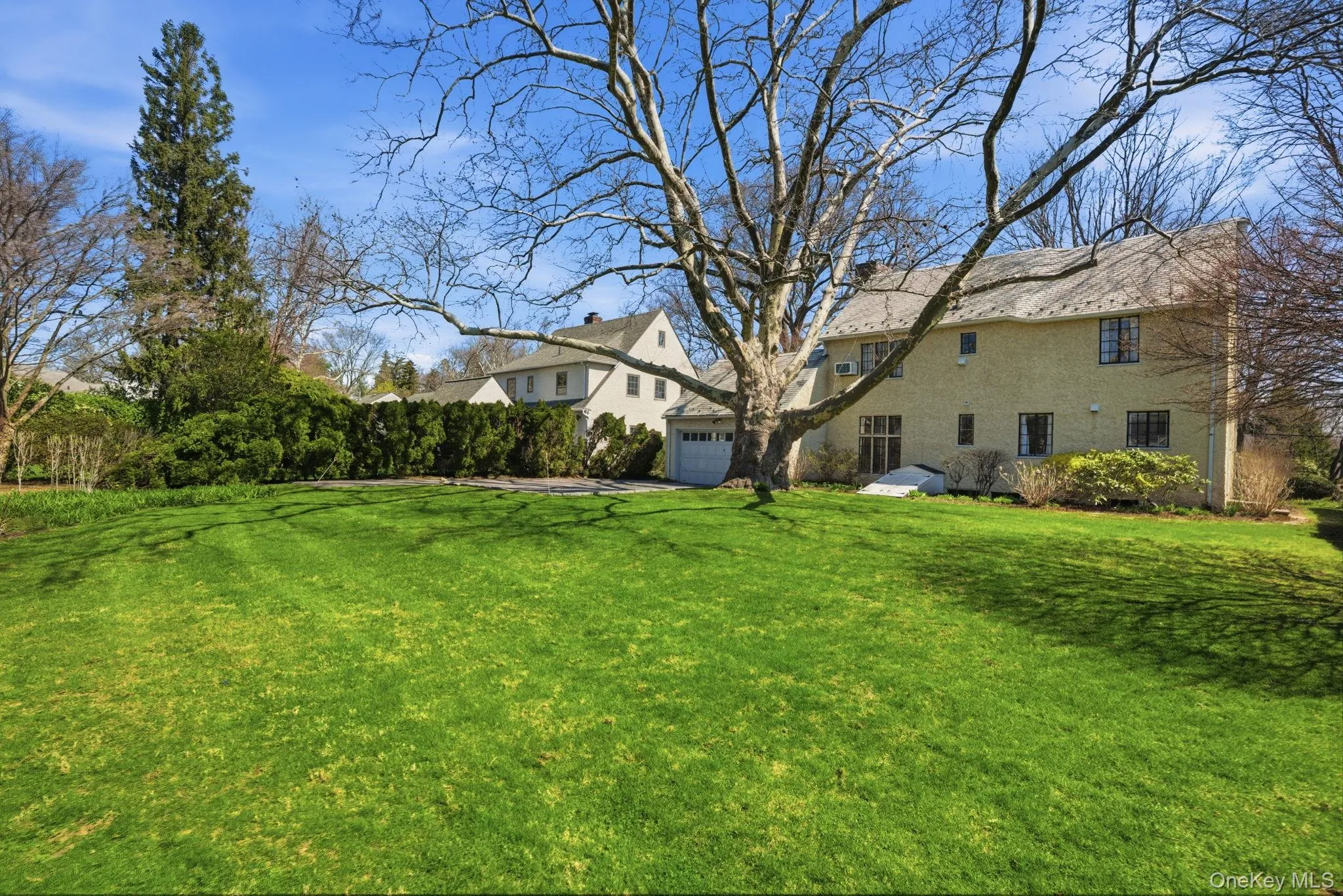 5 Seymour Place, White Plains, NY, 4 Bedrooms Bedrooms, 8 Rooms Rooms,3 BathroomsBathrooms,Residential Lease,For Rent,Seymour,0,984310 5 Seymour Place, White Plains, NY, 4 Bedrooms Bedrooms, 8 Rooms Rooms,3 BathroomsBathrooms,Residential Lease,For Rent,Seymour,0,984310