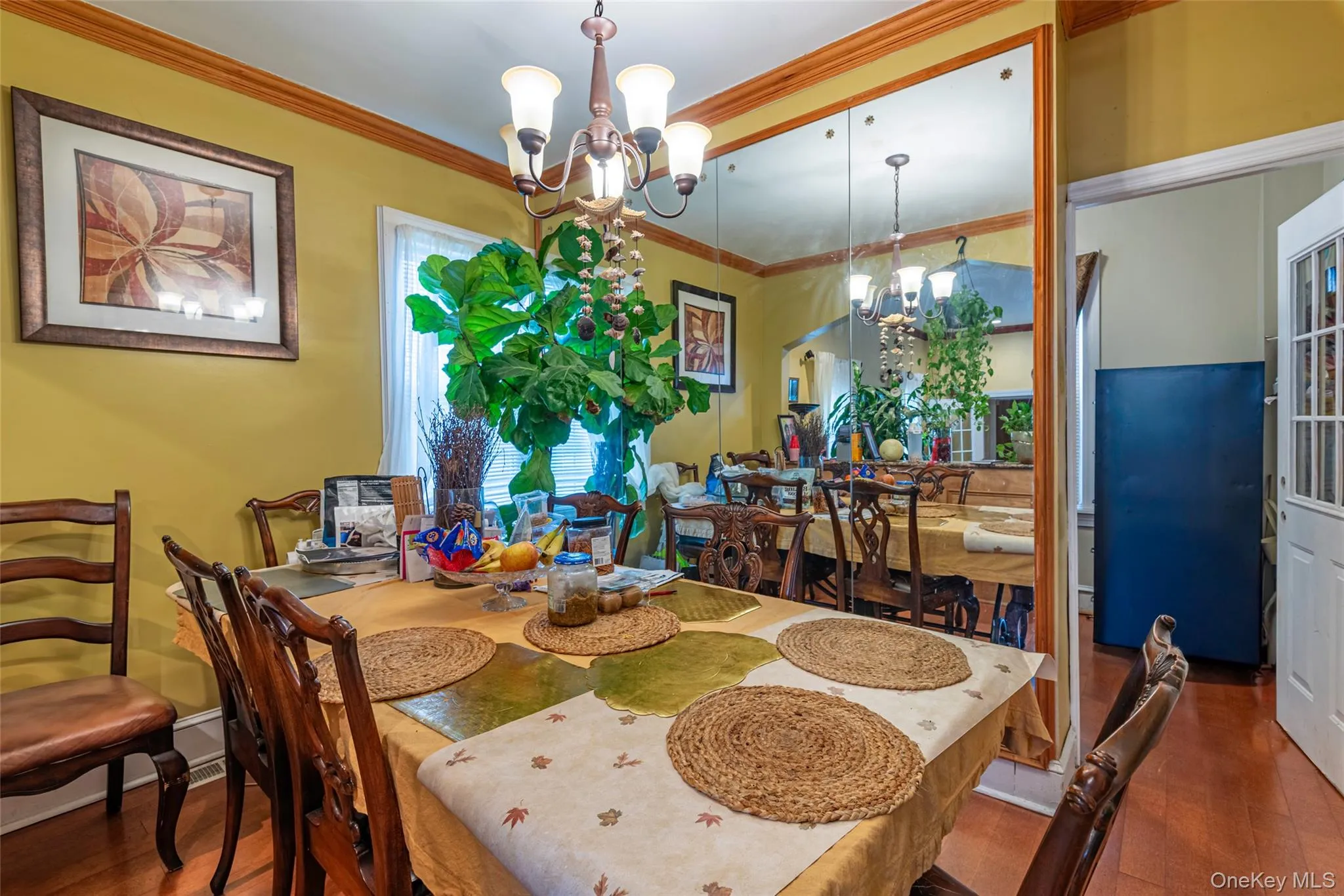 116-50 227th Street, New York, NY, 4 Bedrooms Bedrooms, 7 Rooms Rooms,1 BathroomBathrooms,Residential,For Rent,227th,0,984380 116-50 227th Street, New York, NY, 4 Bedrooms Bedrooms, 7 Rooms Rooms,1 BathroomBathrooms,Residential,For Rent,227th,0,984380
