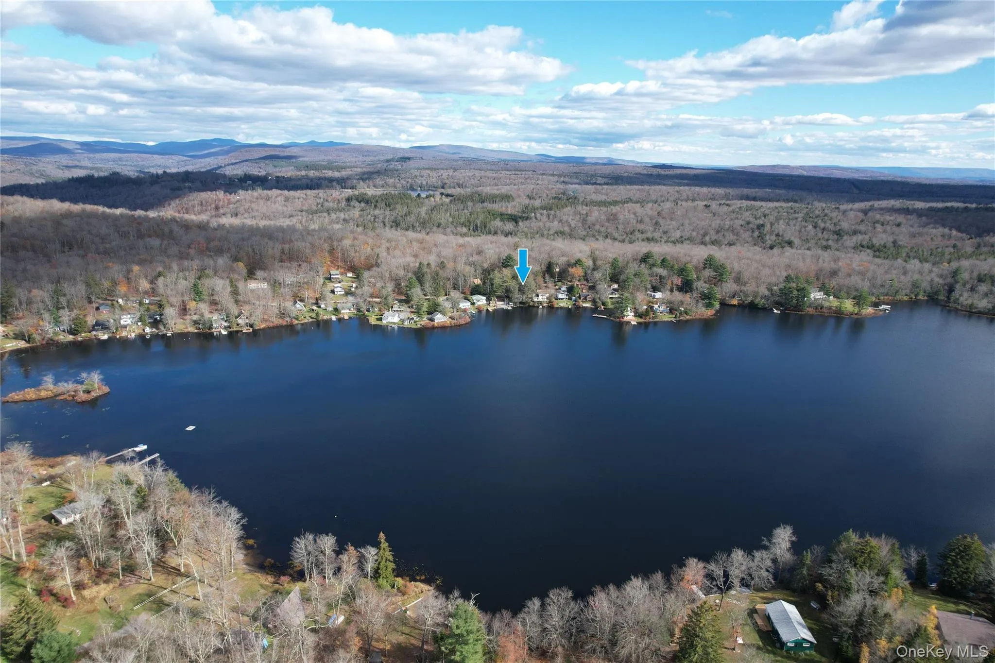 Aerial view of a forest and a water and mountain view Aerial view of a forest and a water and mountain view