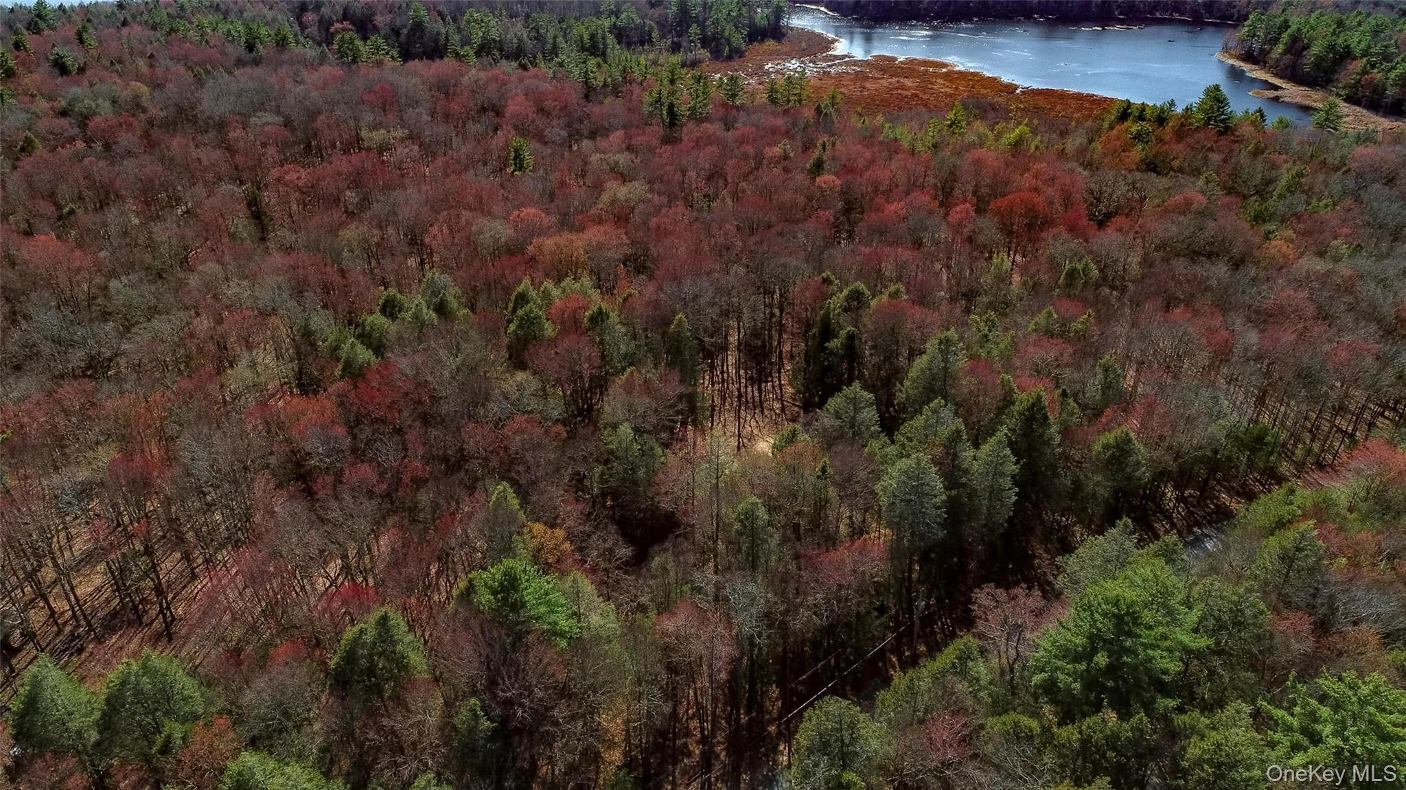 Lot 2 Deer Meadow Road, Bethel, NY, ,Land,For Rent,Deer Meadow,0,984392 Lot 2 Deer Meadow Road, Bethel, NY, ,Land,For Rent,Deer Meadow,0,984392
